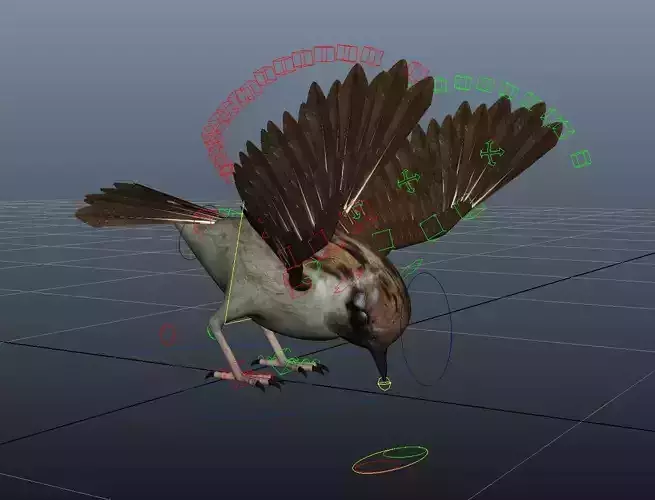 Rig Sparrow Bird  Low-poly 3D model
