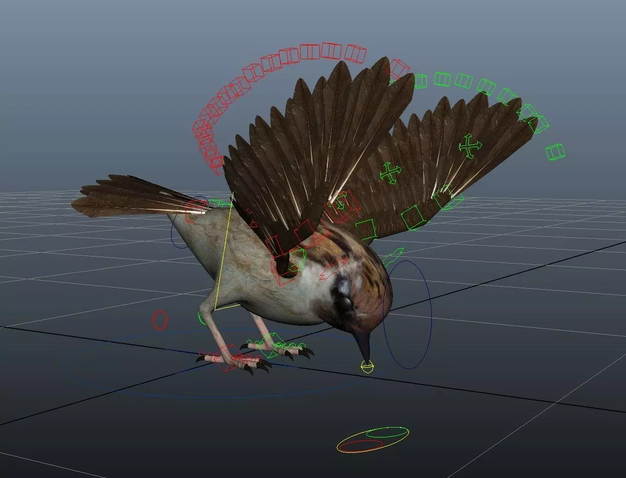 Rig Sparrow Bird  Low-poly 3D model_0