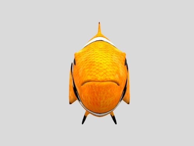 Rig Fish01 Low-poly 3D model_3