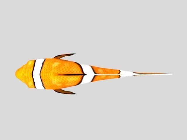 Rig Fish01 Low-poly 3D model_4