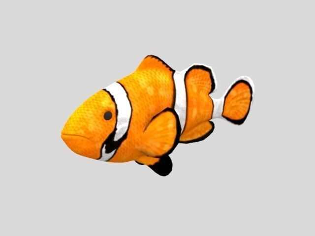 Rig Fish01 Low-poly 3D model_2