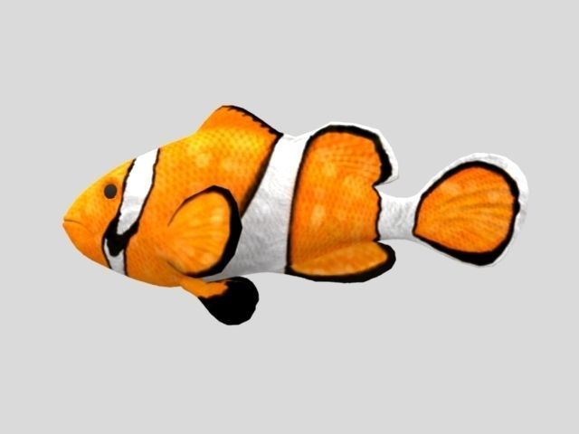 Rig Fish01 Low-poly 3D model_5