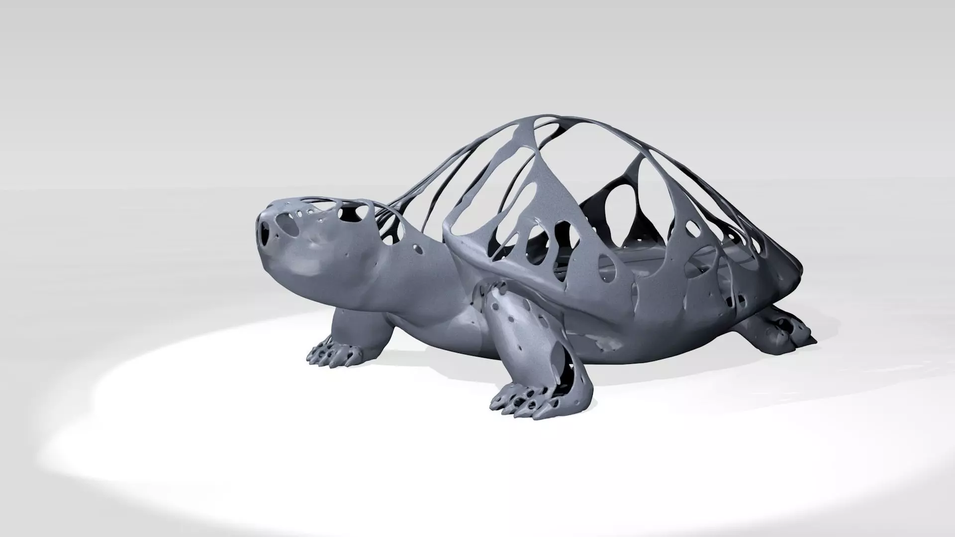 Turtle Dust Turtle Dust Voronoi 3D model | CGTrader