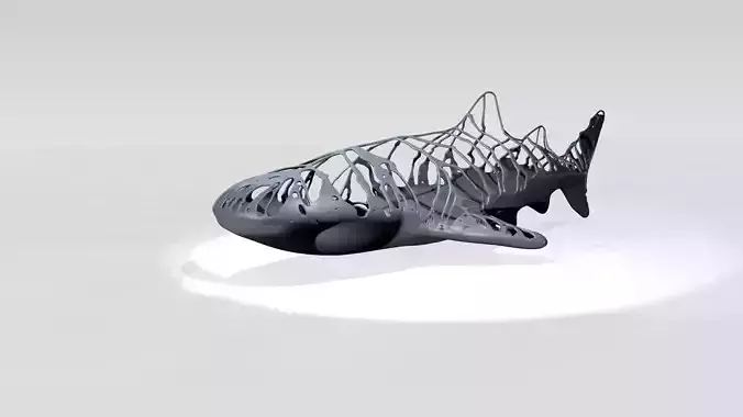 Whaleshark Dust Voronoi