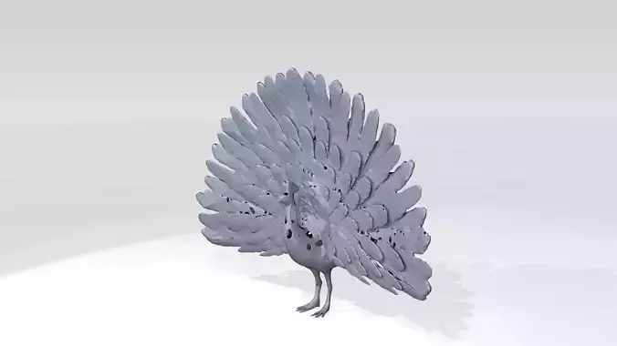 Peafowl Voronoi 3D model