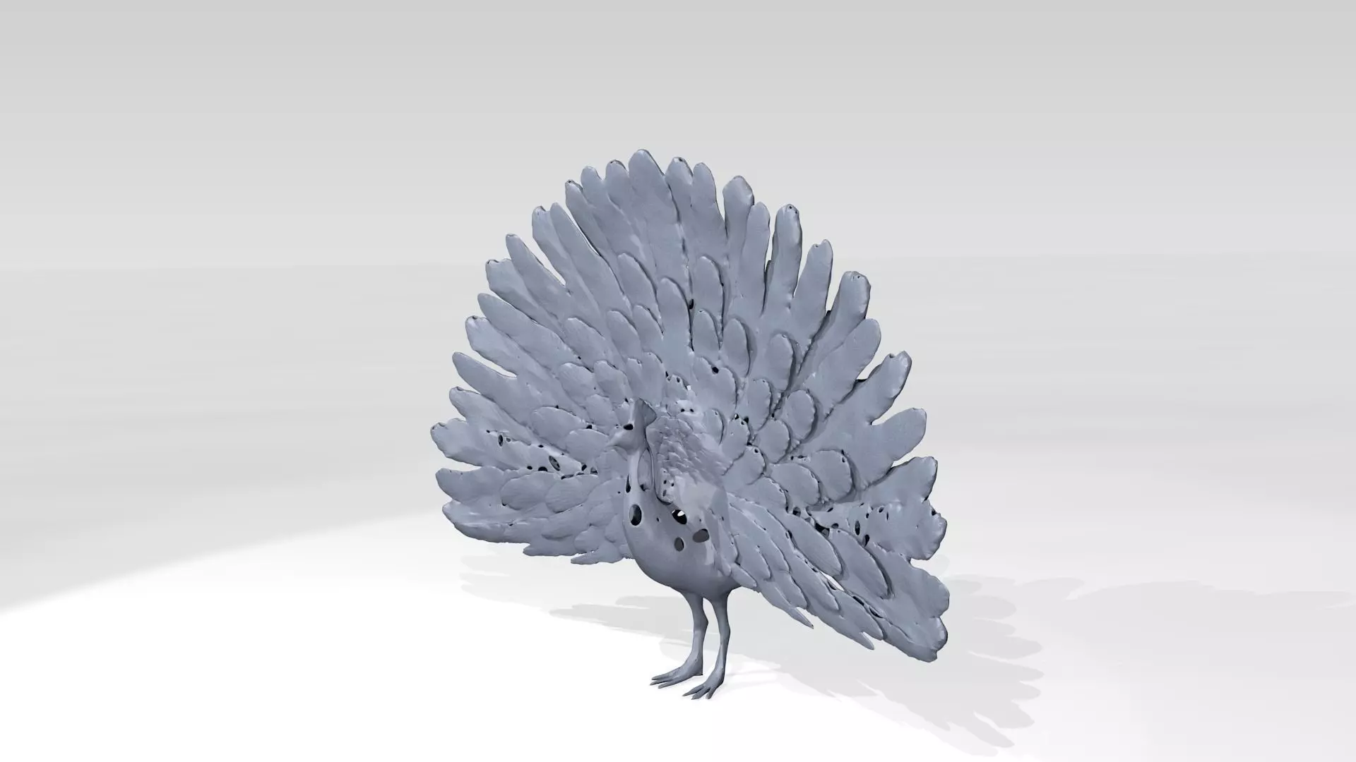 Peafowl Voronoi 3D model