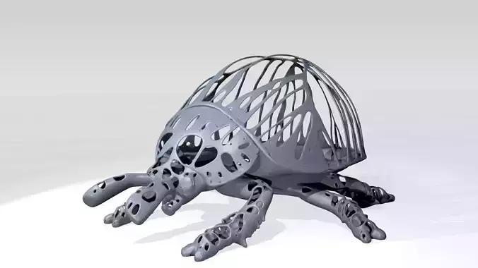 Ladybird Dust Voronoi 3D model