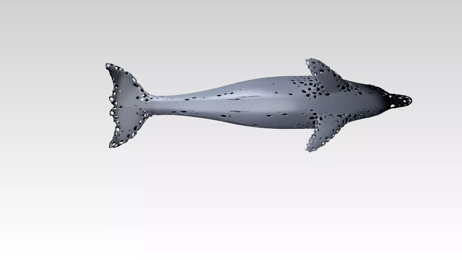 Dolphin Voronoi 3D model_6