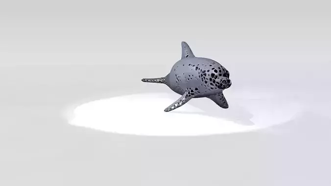 Dolphin Voronoi