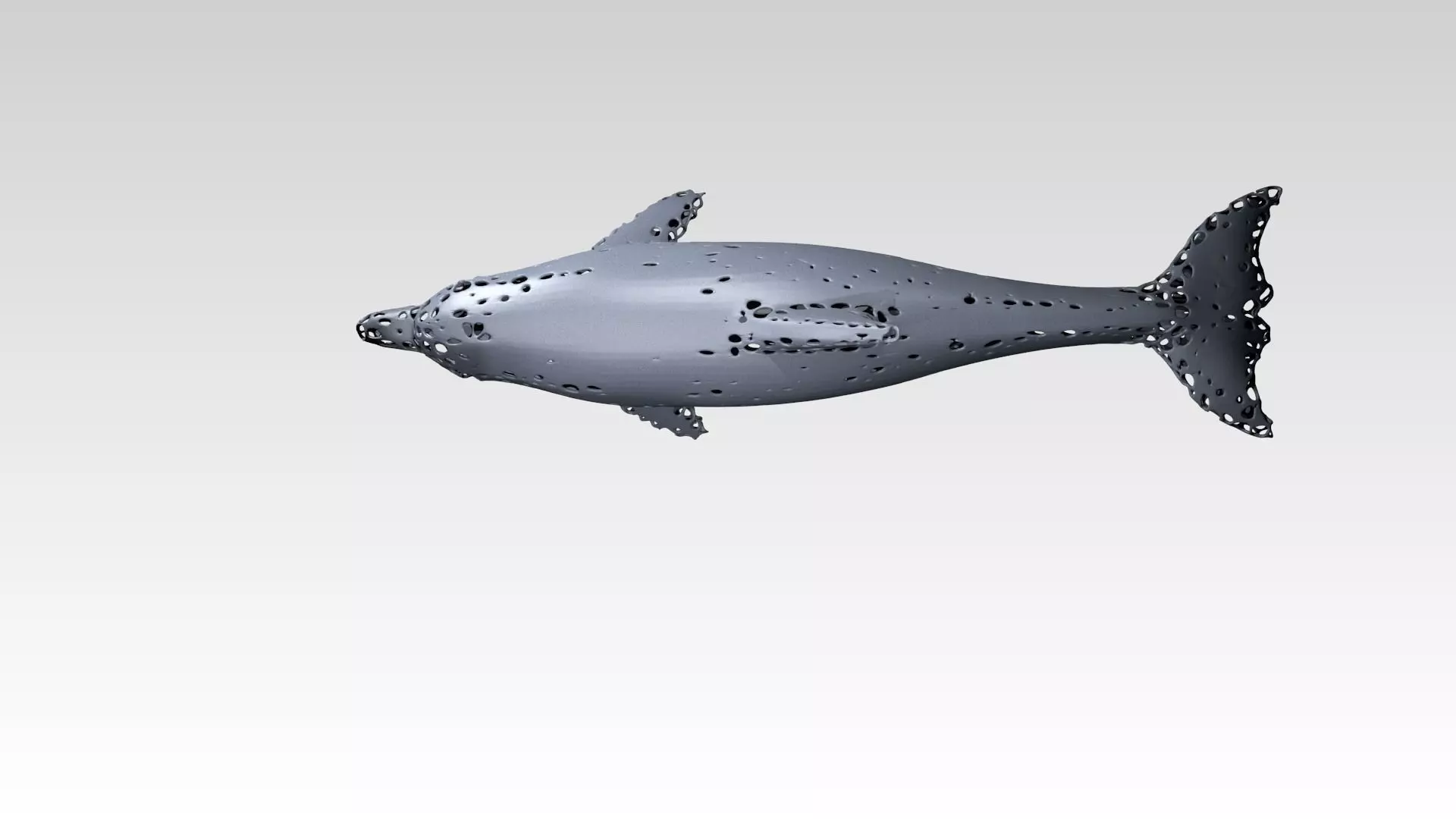 Dolphin Voronoi 3D model_5