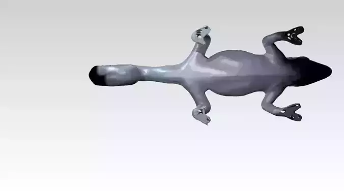 Chamaeleo Dust Voronoi