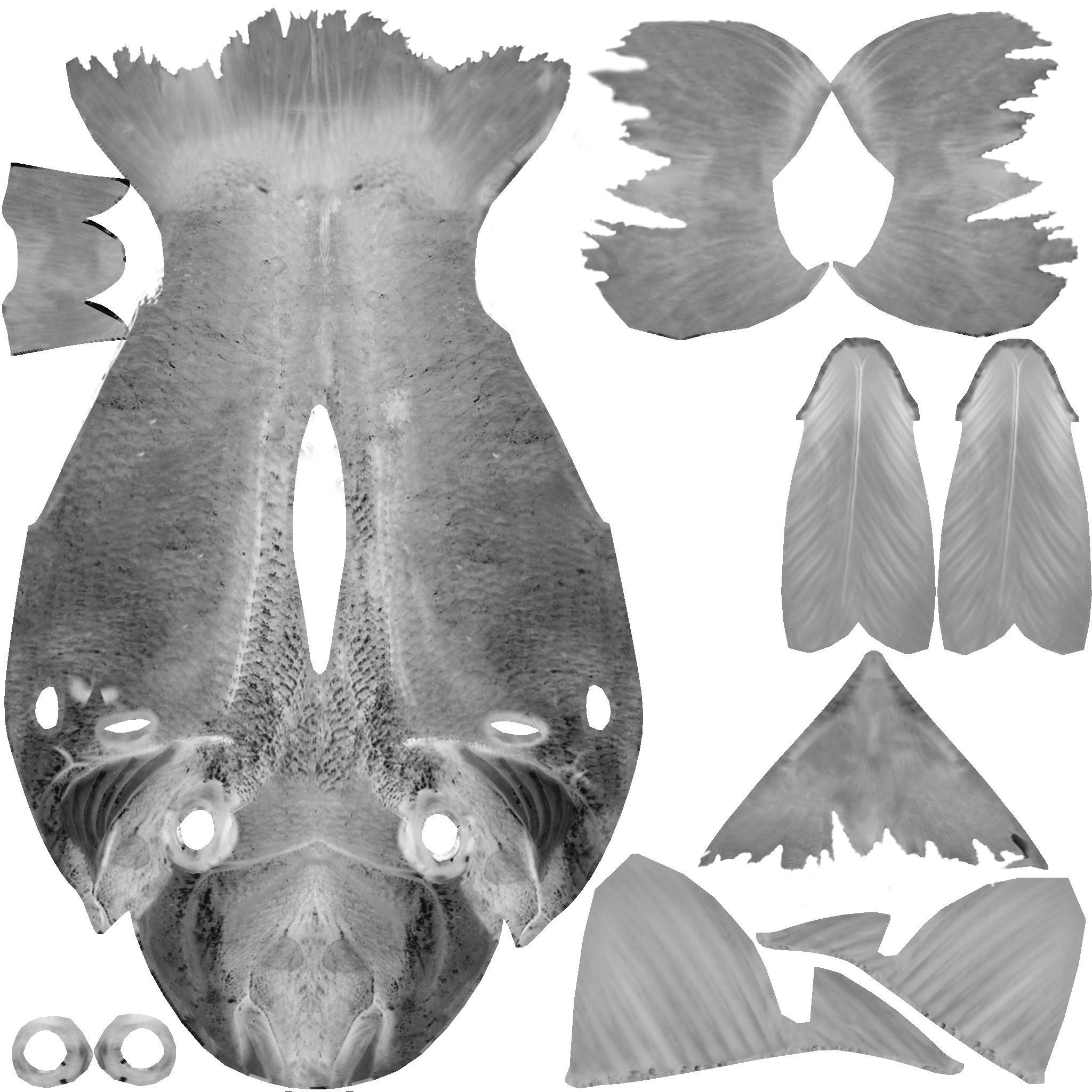 Rig Fish02 Low-poly 3D model_5