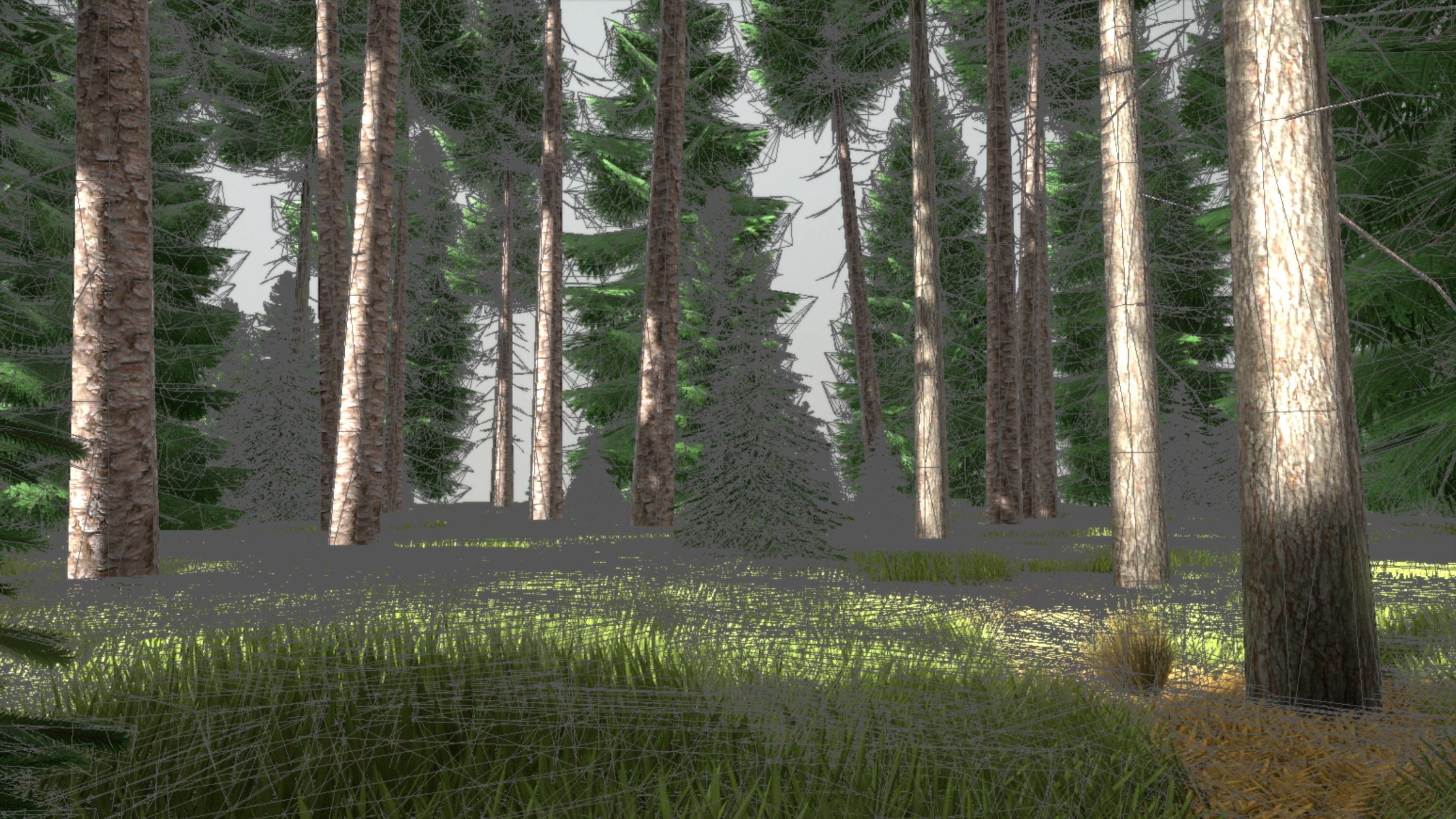 Spruce Forest Scene Low-poly 3D model_77