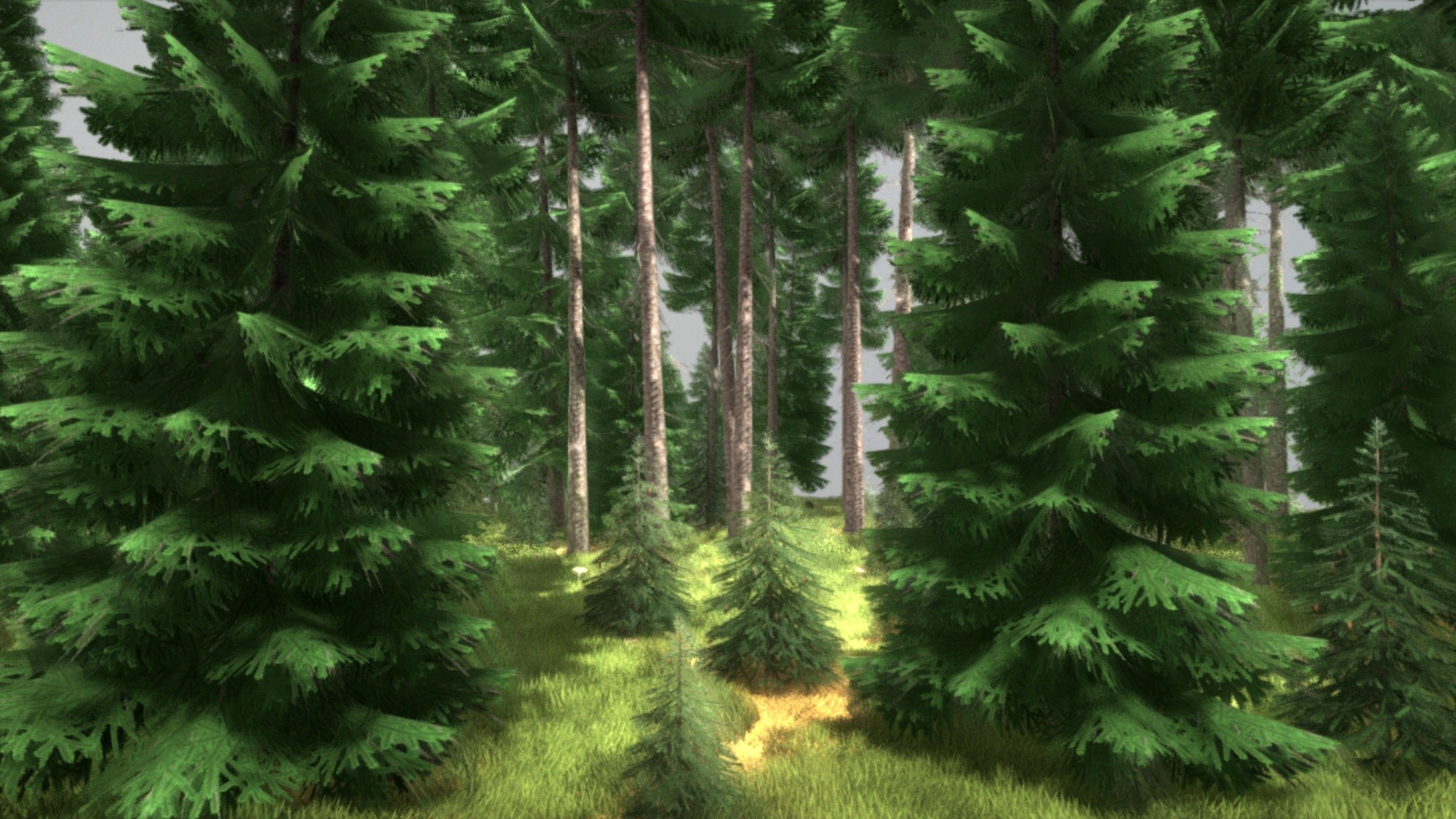 Spruce Forest Scene Low-poly 3D model_29