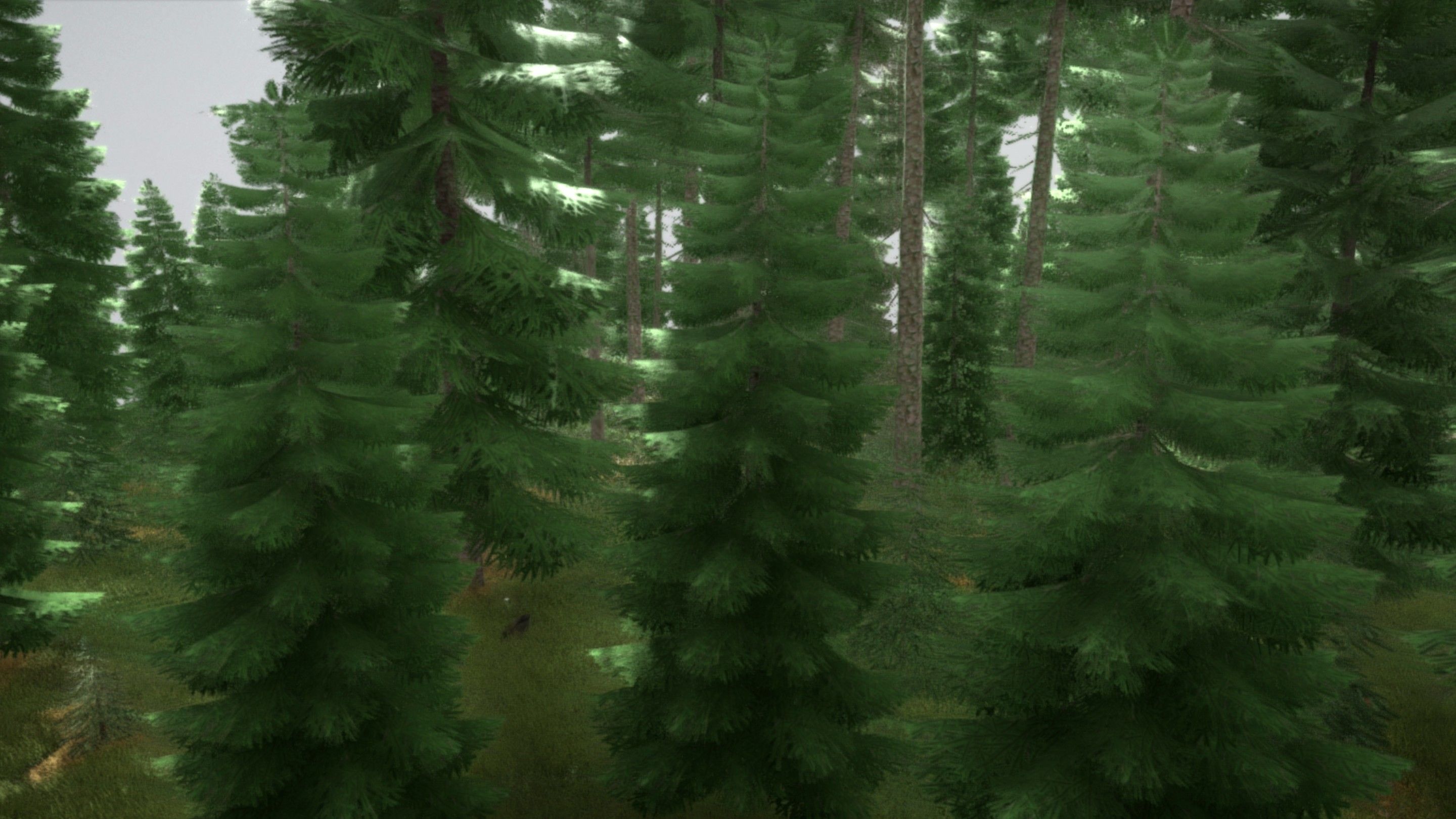 Spruce Forest Scene Low-poly 3D model_91