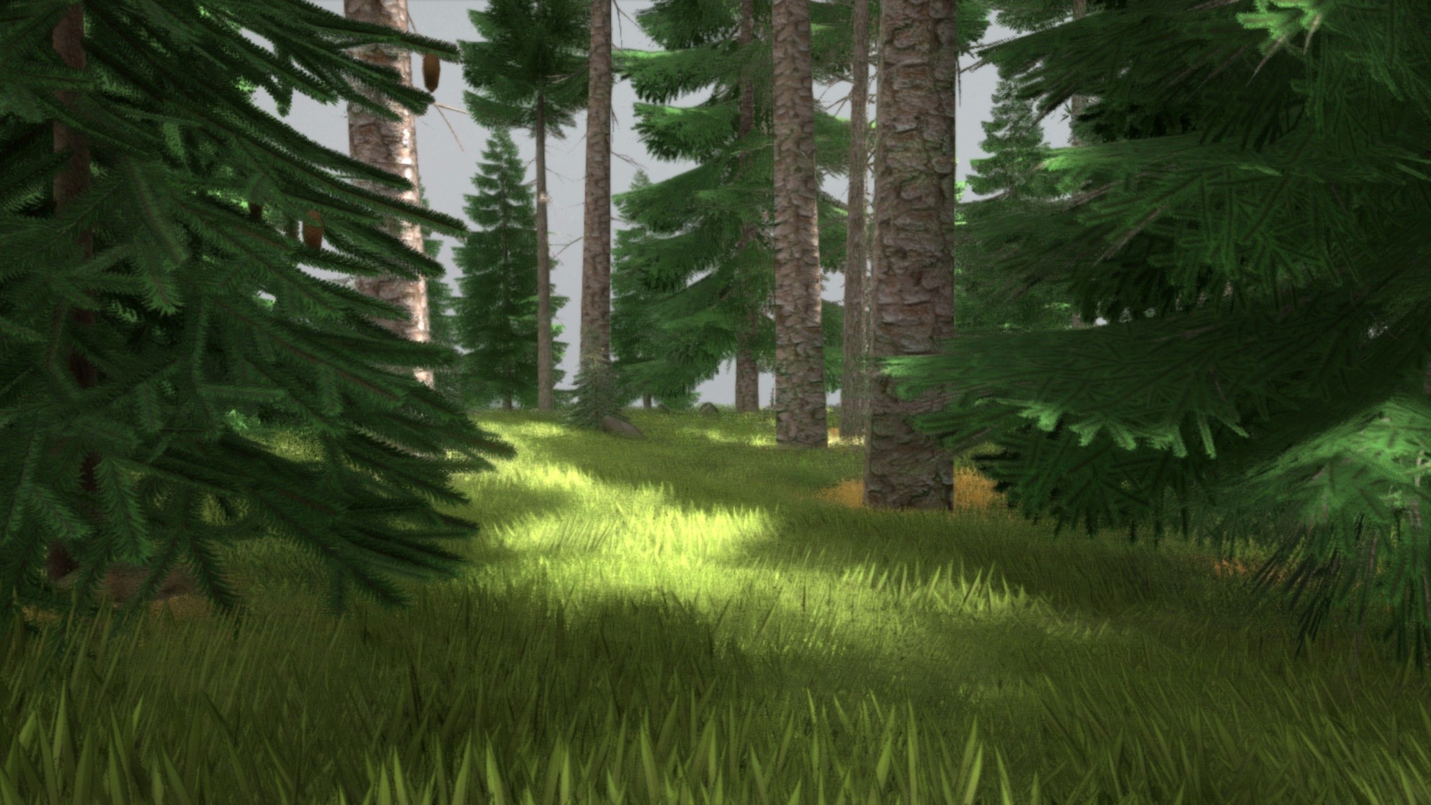 Spruce Forest Scene Low-poly 3D model_19