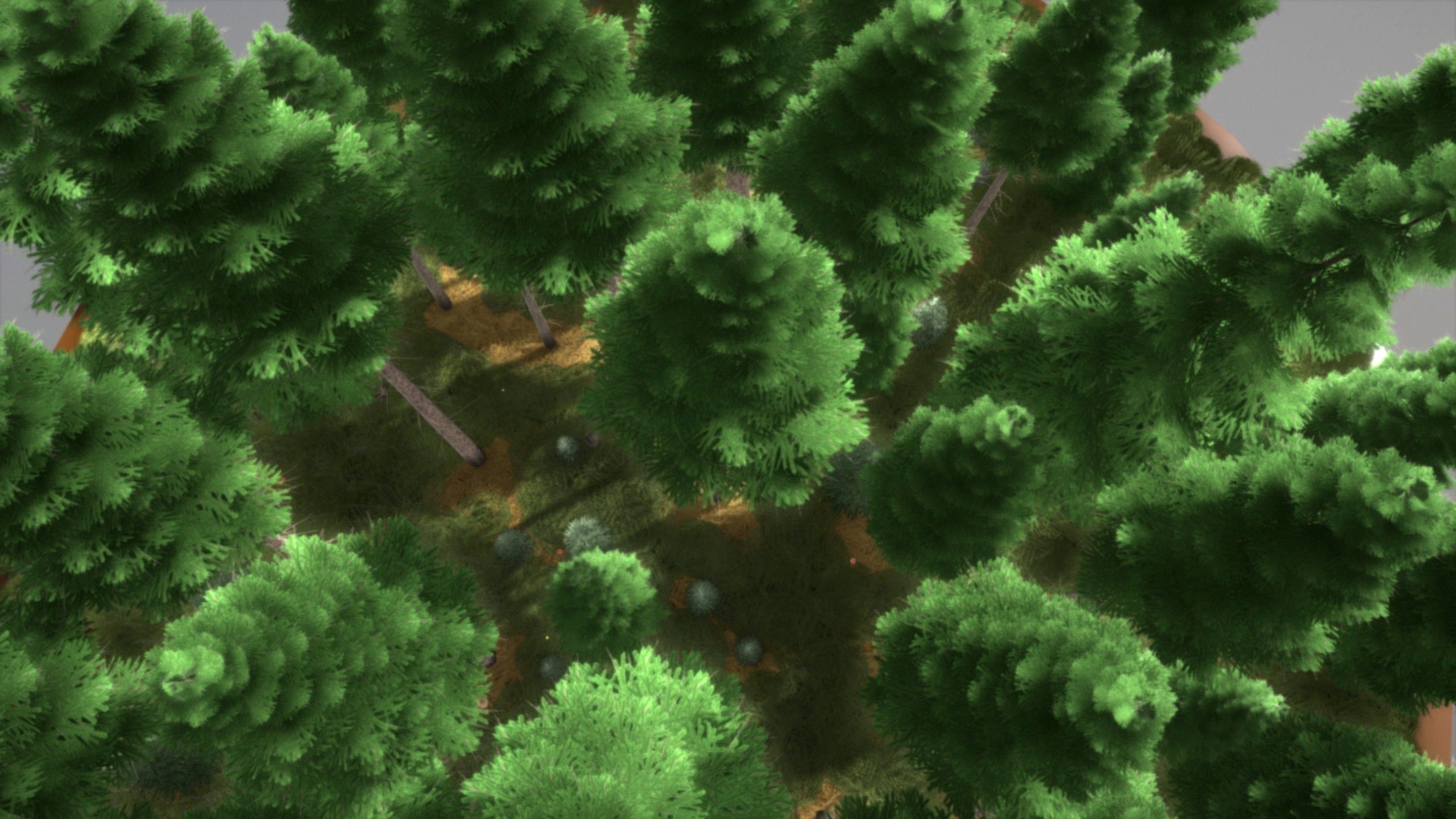 Spruce Forest Scene Low-poly 3D model_35