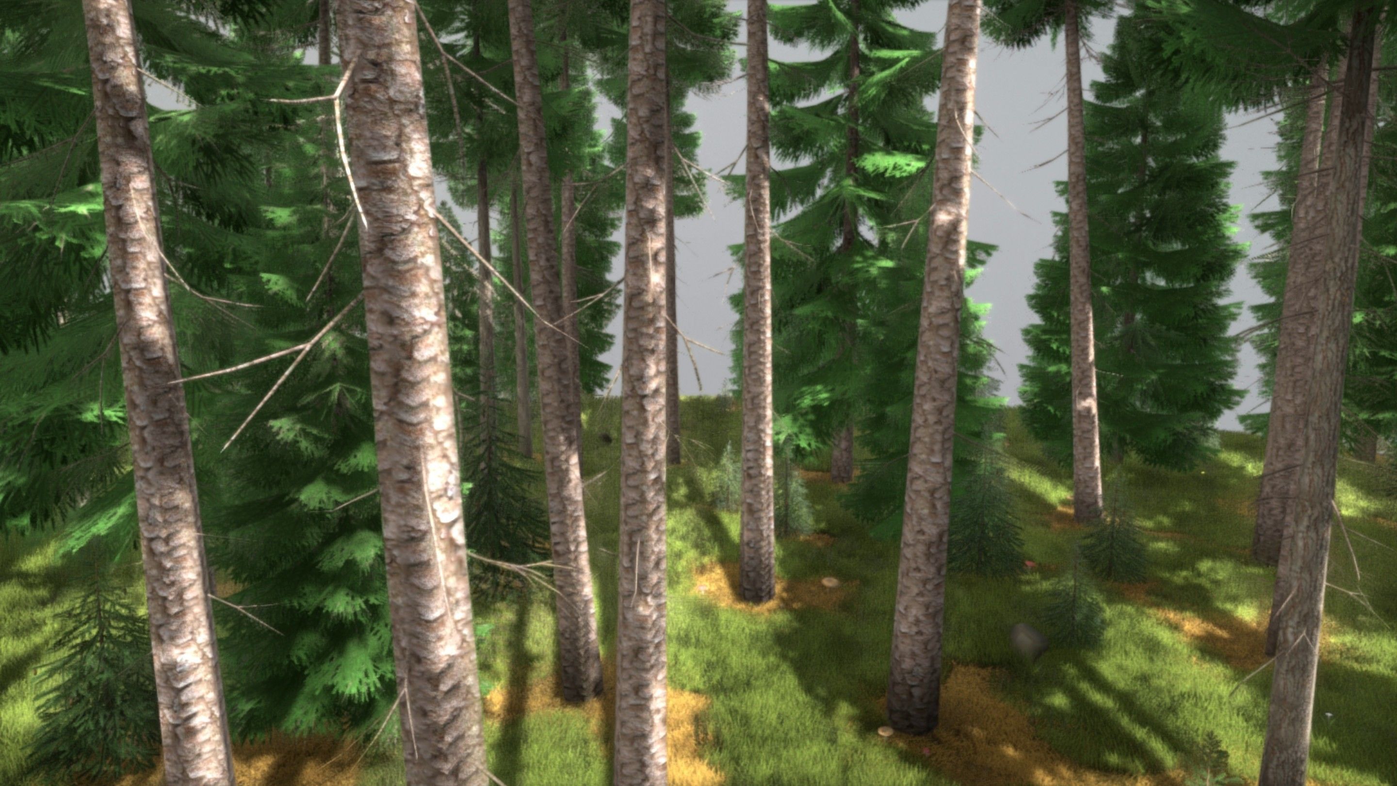 Spruce Forest Scene Low-poly 3D model_15