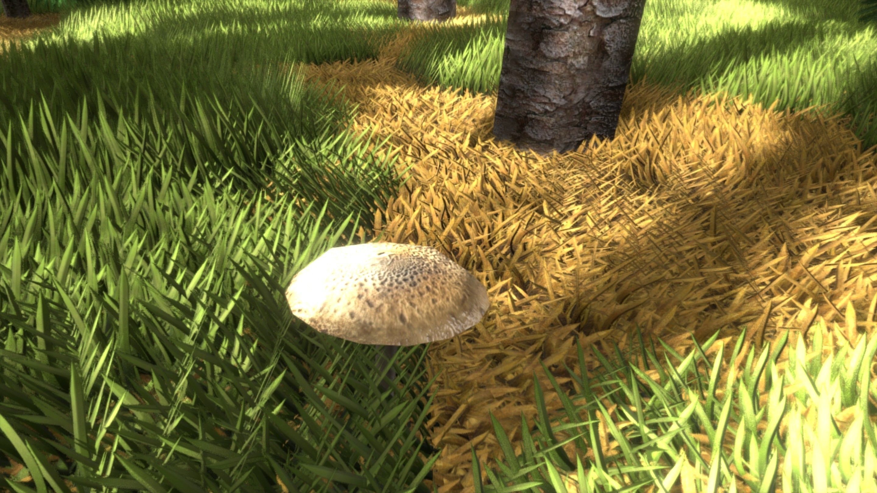 Spruce Forest Scene Low-poly 3D model_58