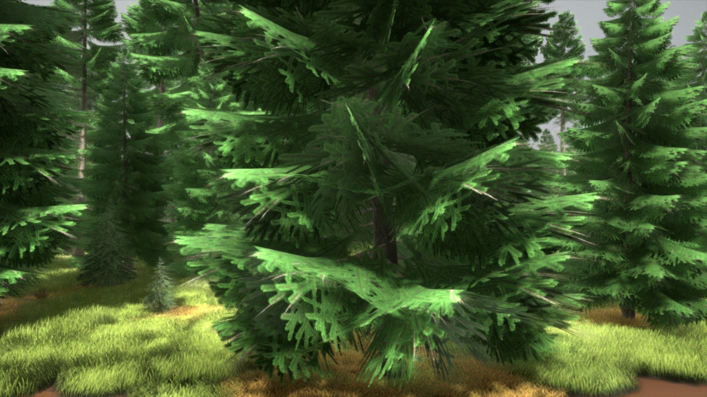 Spruce Forest Scene Low-poly 3D model_94