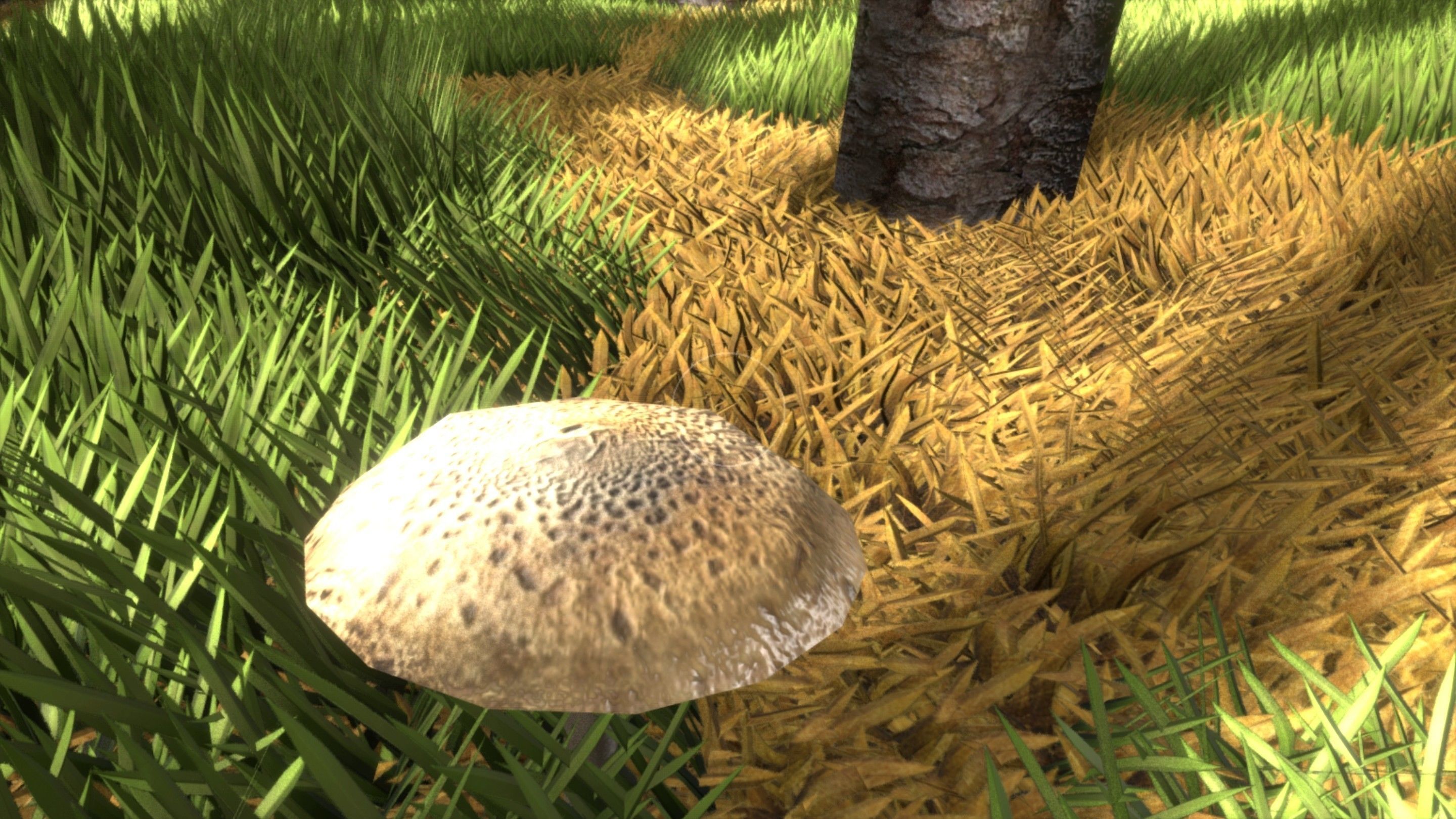 Spruce Forest Scene Low-poly 3D model_57