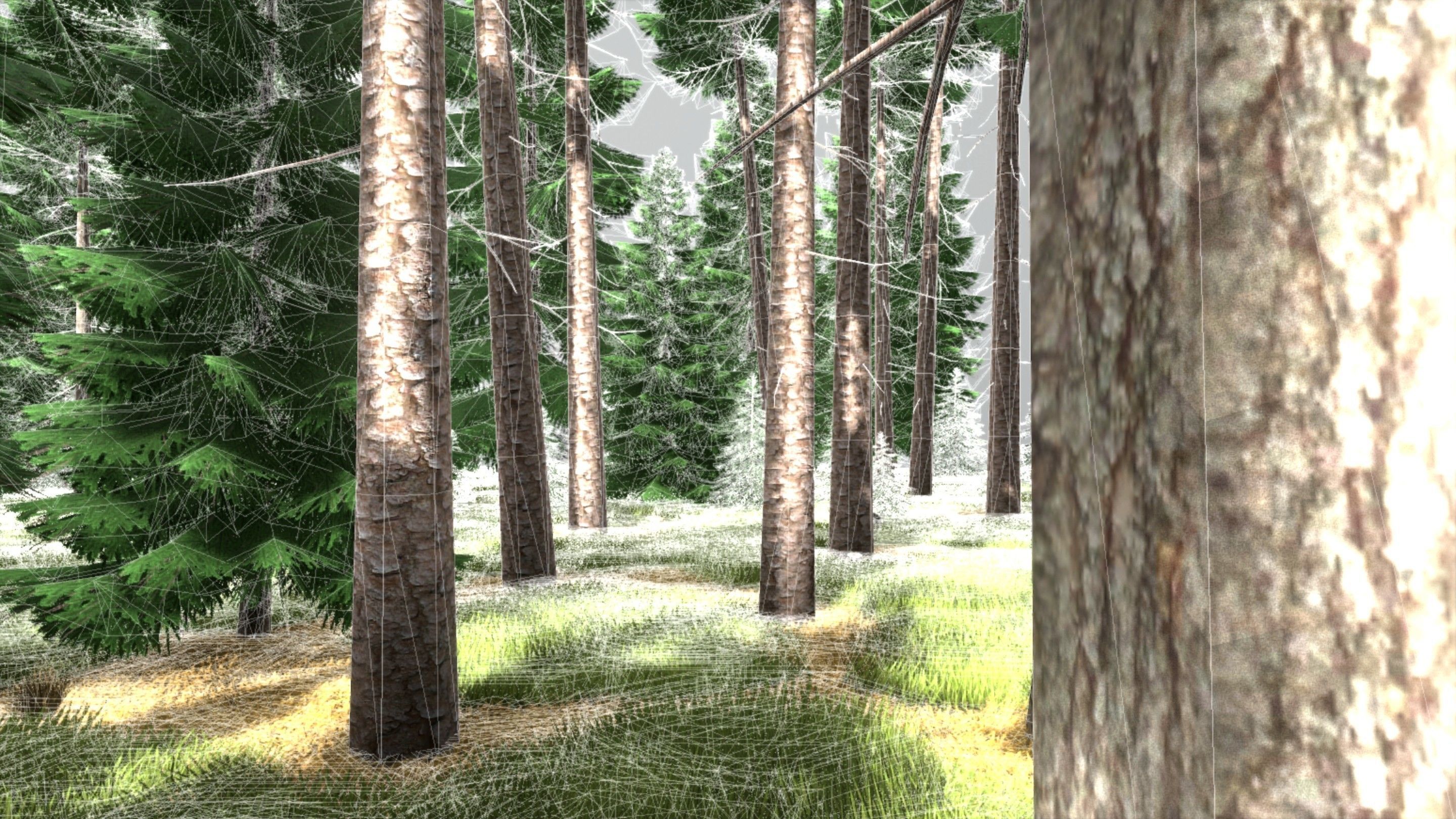 Spruce Forest Scene Low-poly 3D model_81