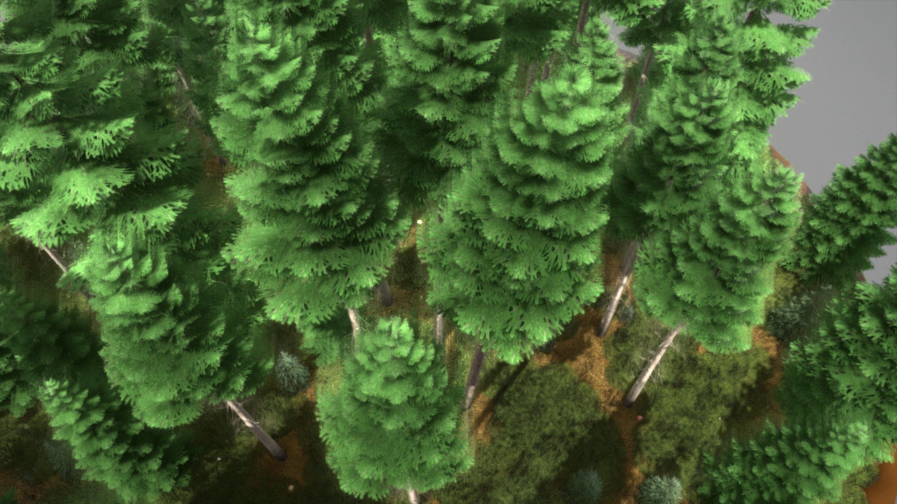 Spruce Forest Scene Low-poly 3D model_88