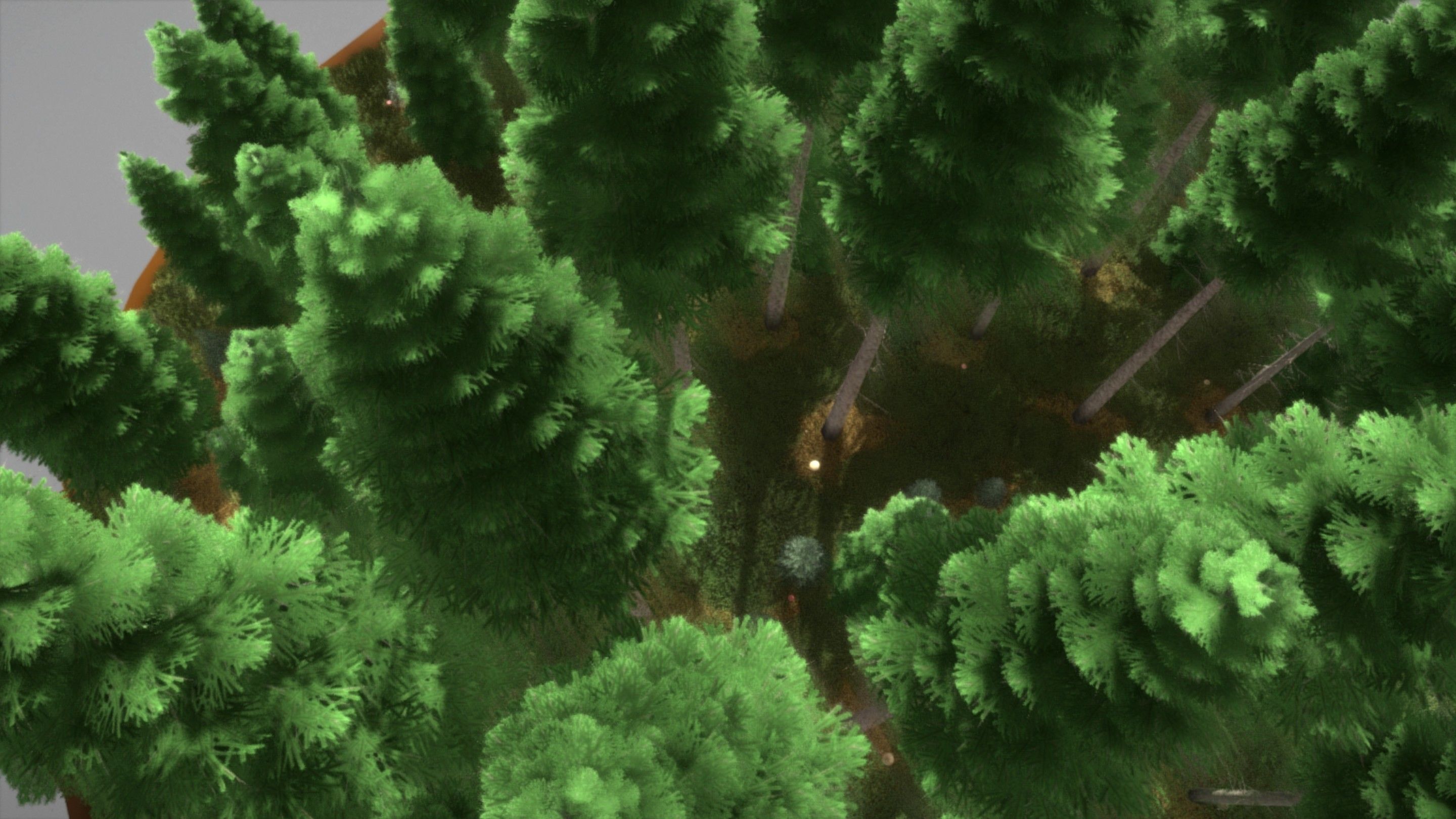 Spruce Forest Scene Low-poly 3D model_96