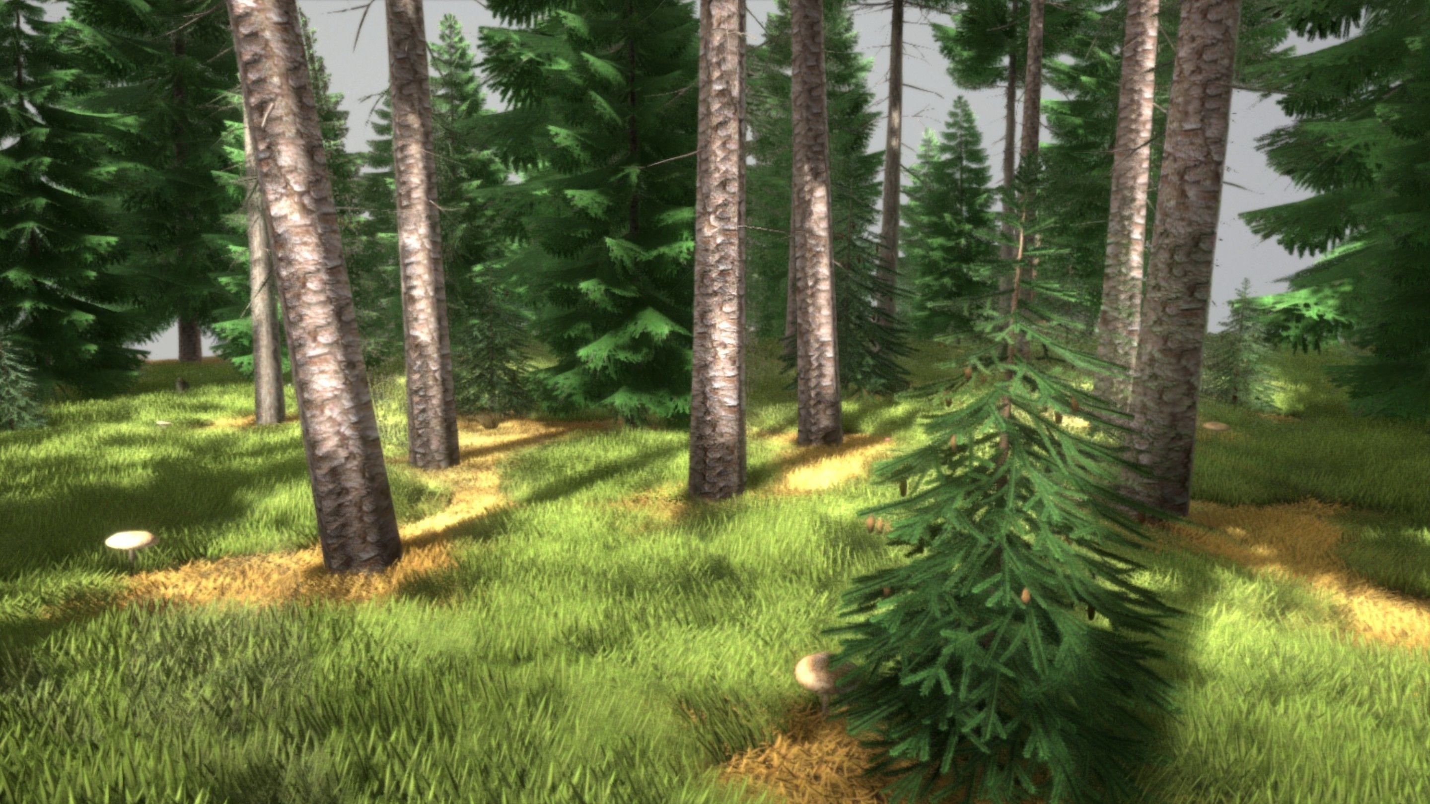 Spruce Forest Scene Low-poly 3D model_9