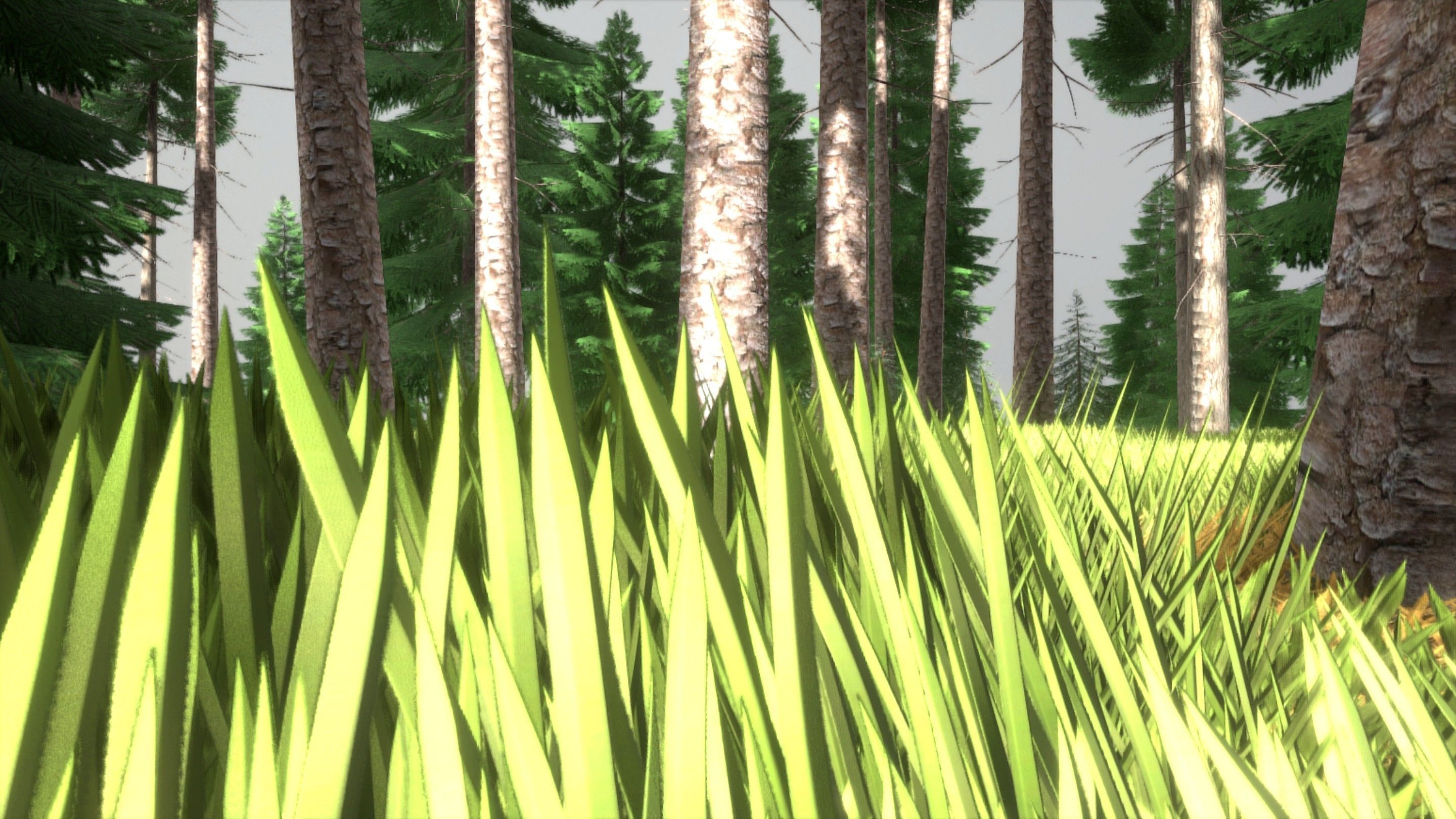 Spruce Forest Scene Low-poly 3D model_51