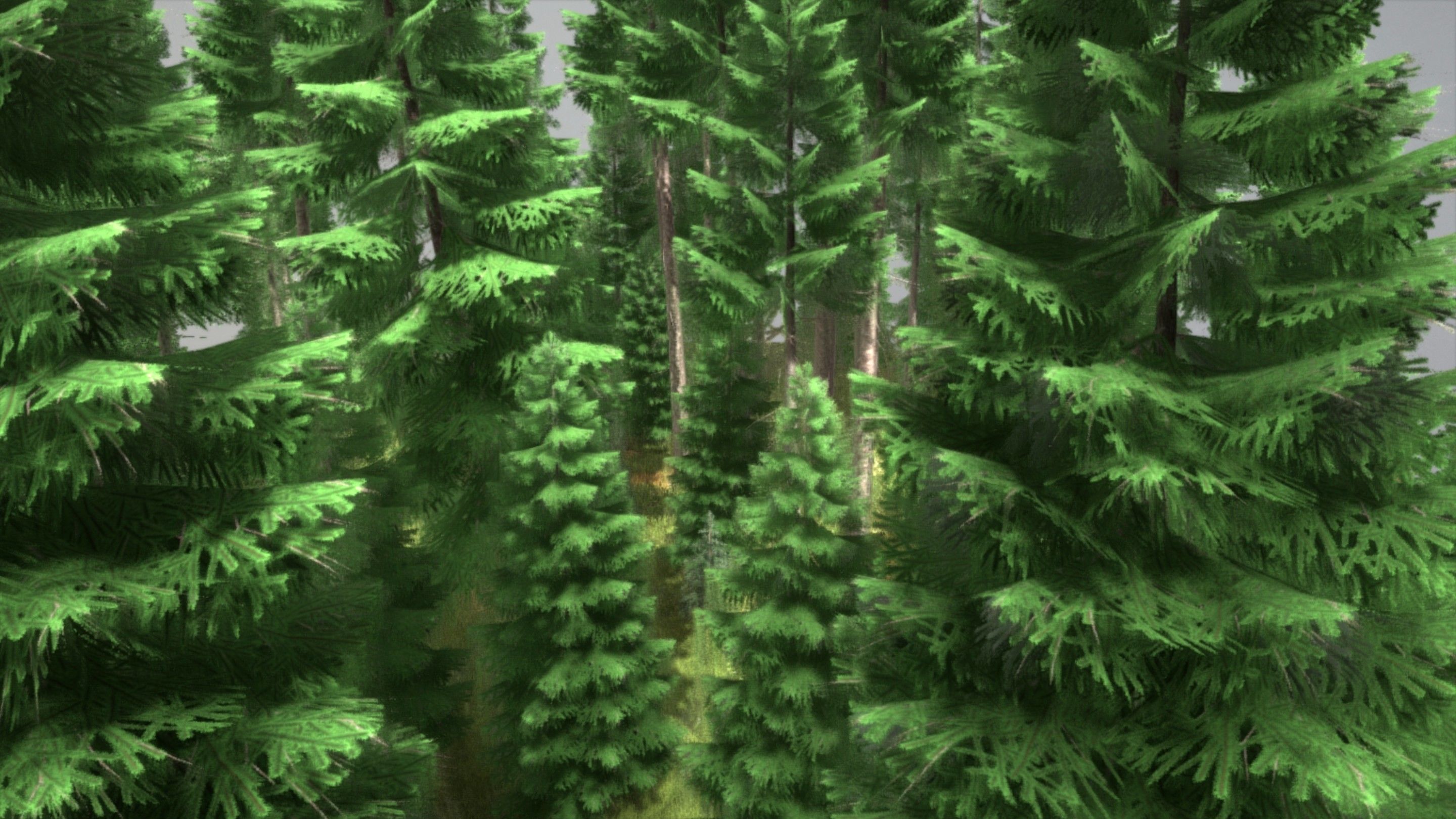 Spruce Forest Scene Low-poly 3D model_99