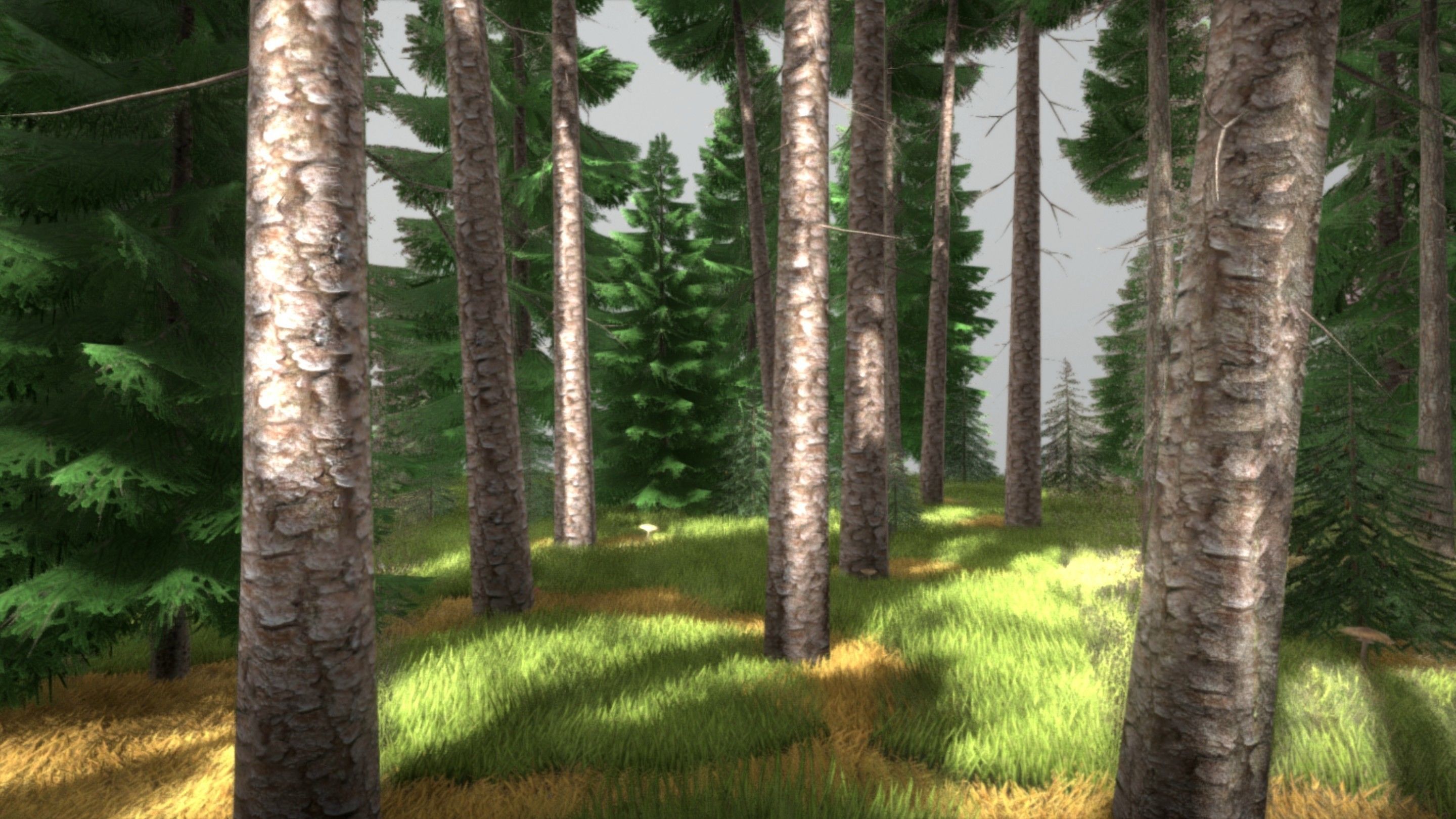 Spruce Forest Scene Low-poly 3D model_18