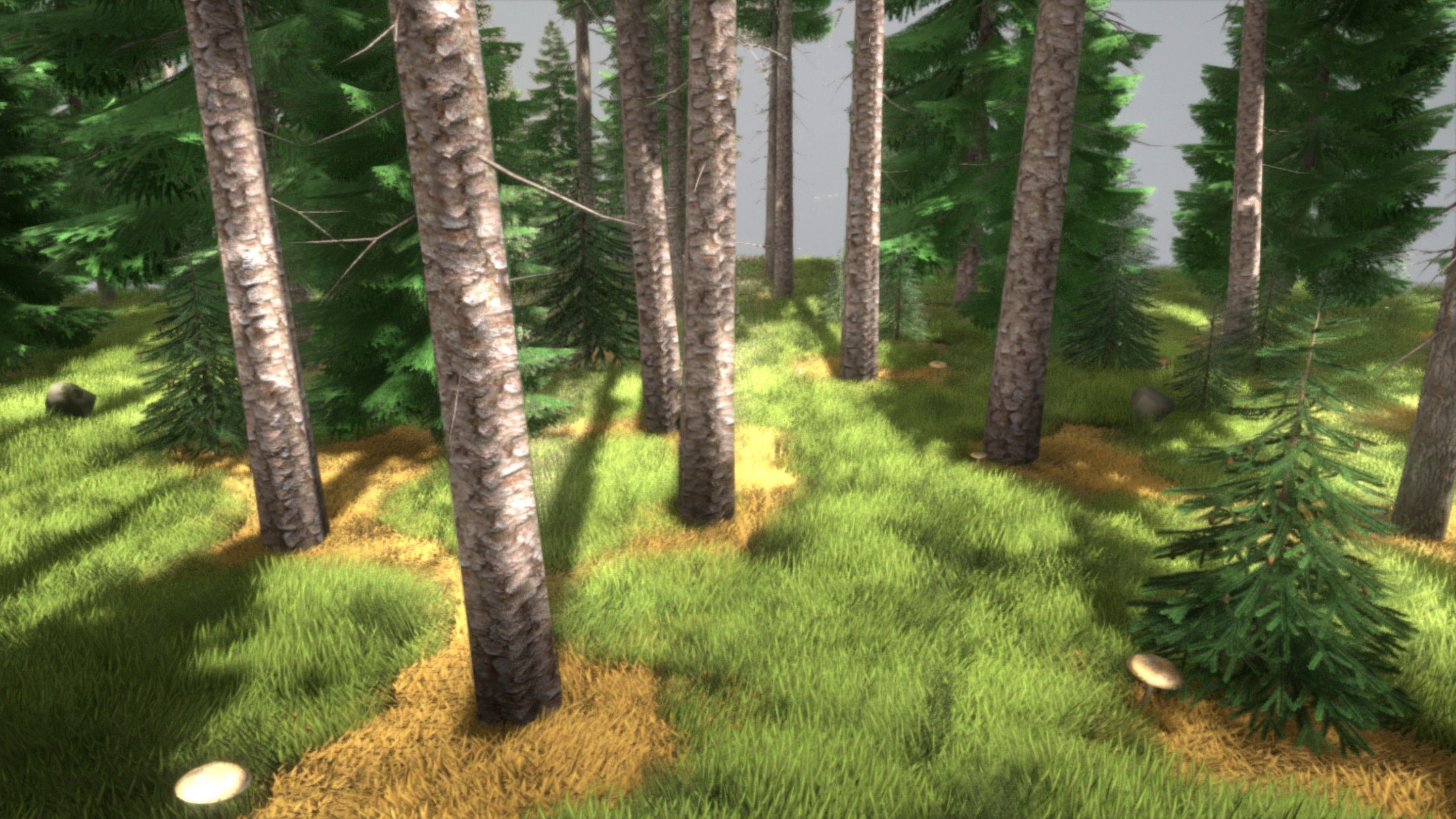Spruce Forest Scene Low-poly 3D model_41