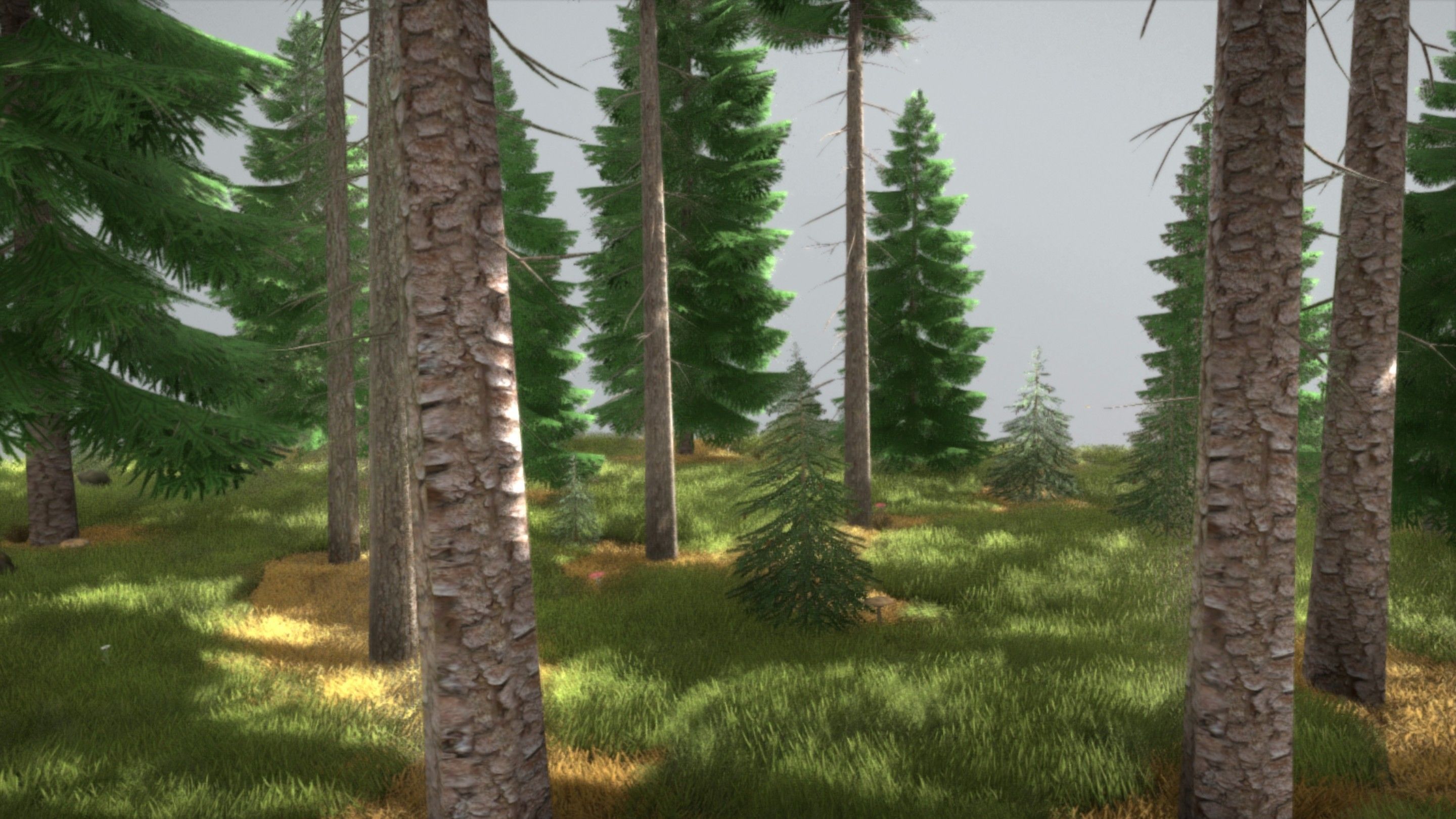 Spruce Forest Scene Low-poly 3D model_53