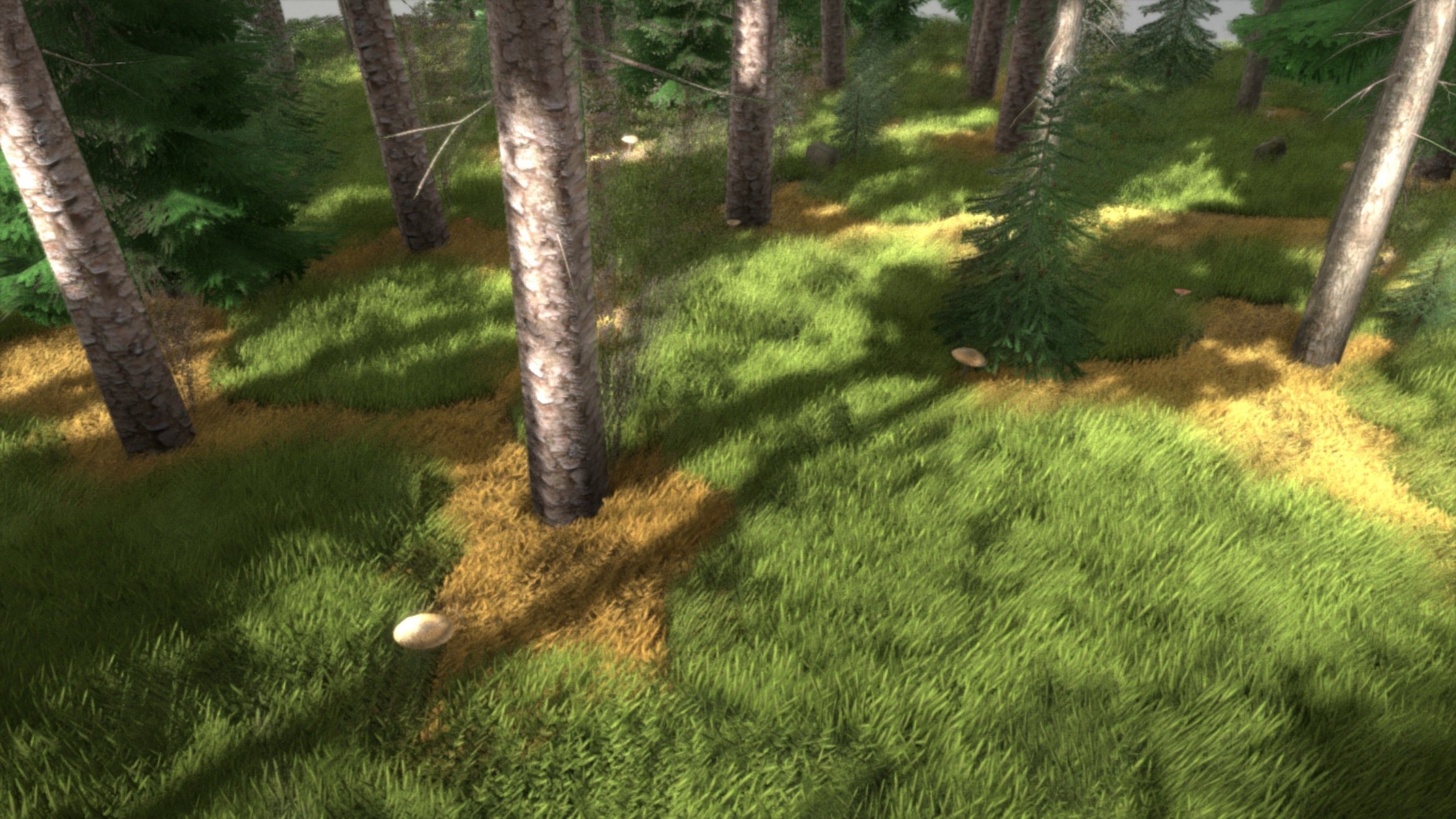 Spruce Forest Scene Low-poly 3D model_3