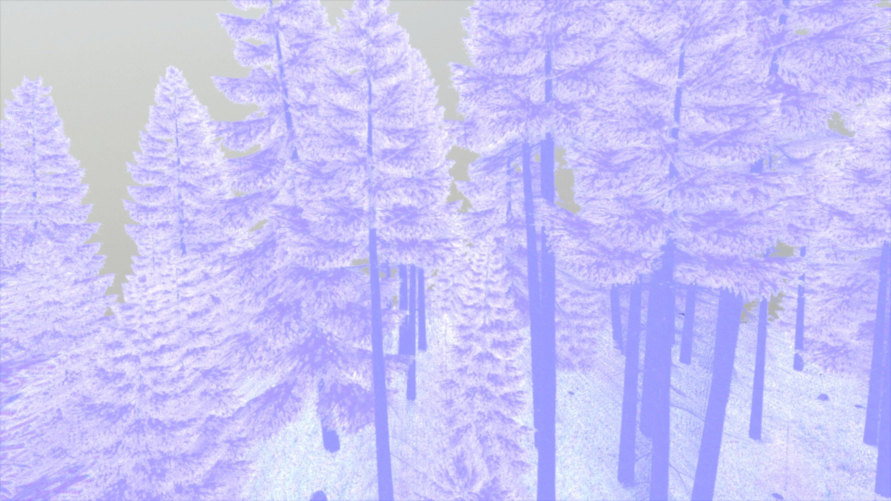 Spruce Forest Scene Low-poly 3D model_68