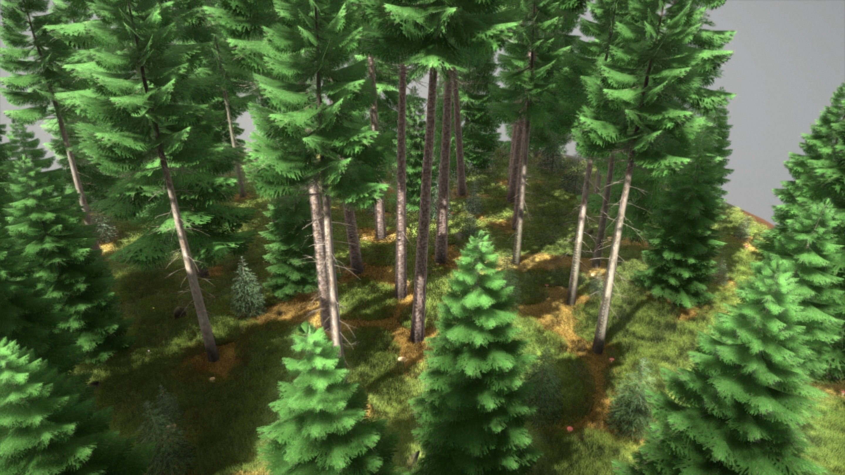 Spruce Forest Scene Low-poly 3D model_86