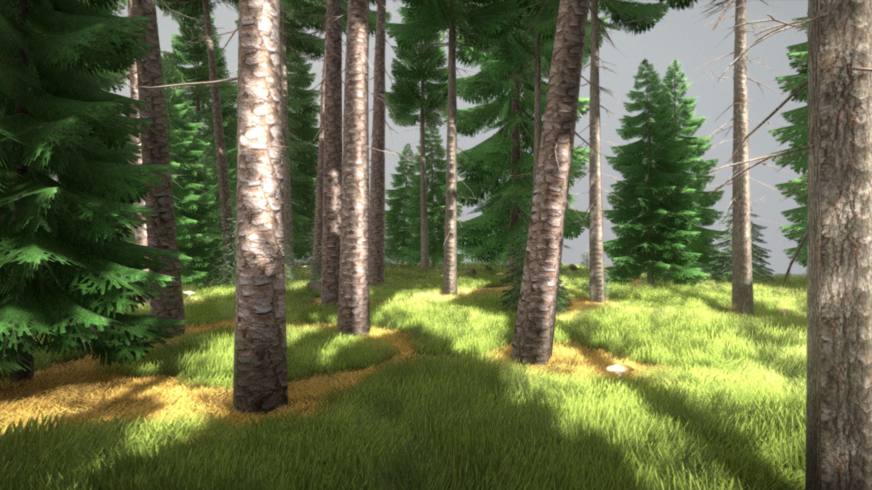 Spruce Forest Scene Low-poly 3D model_2