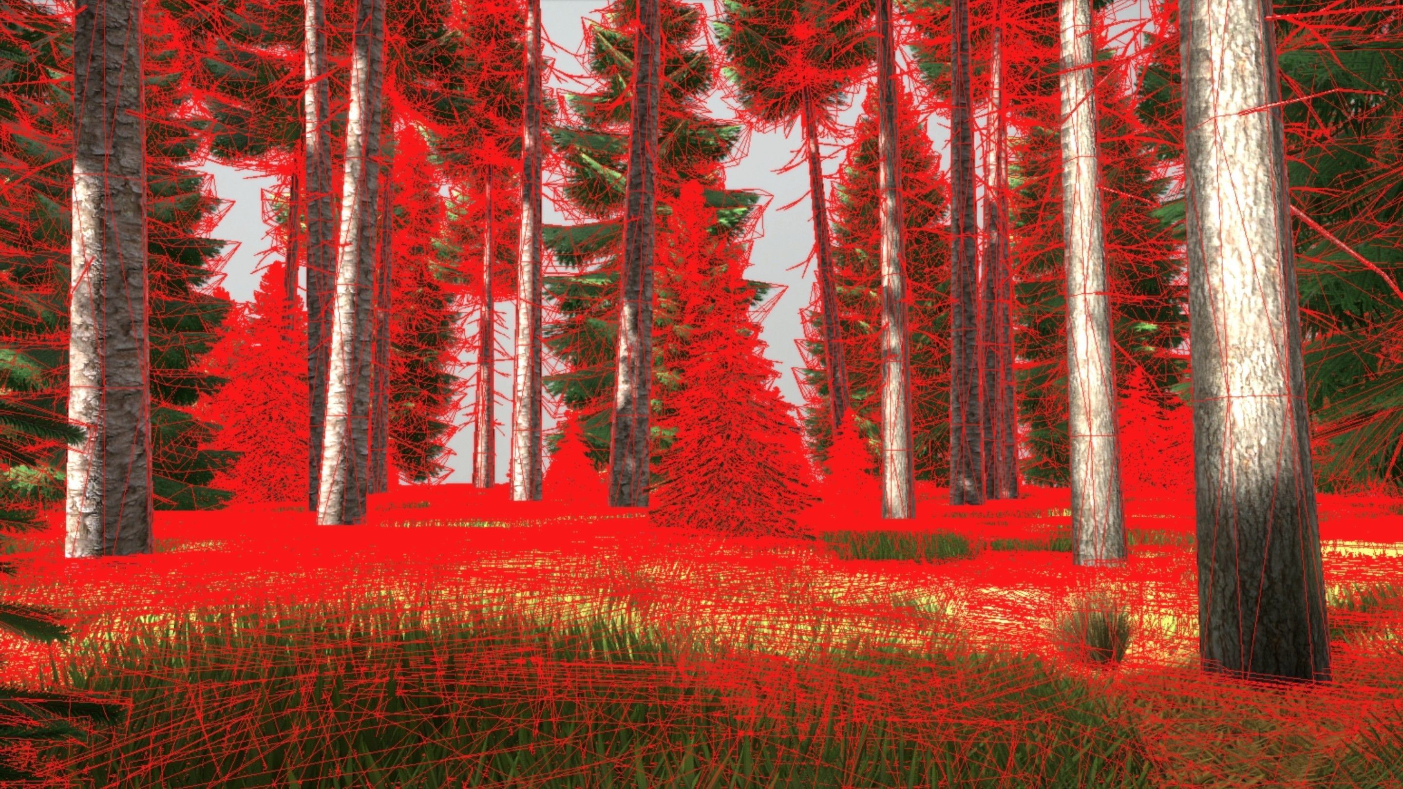 Spruce Forest Scene Low-poly 3D model_78