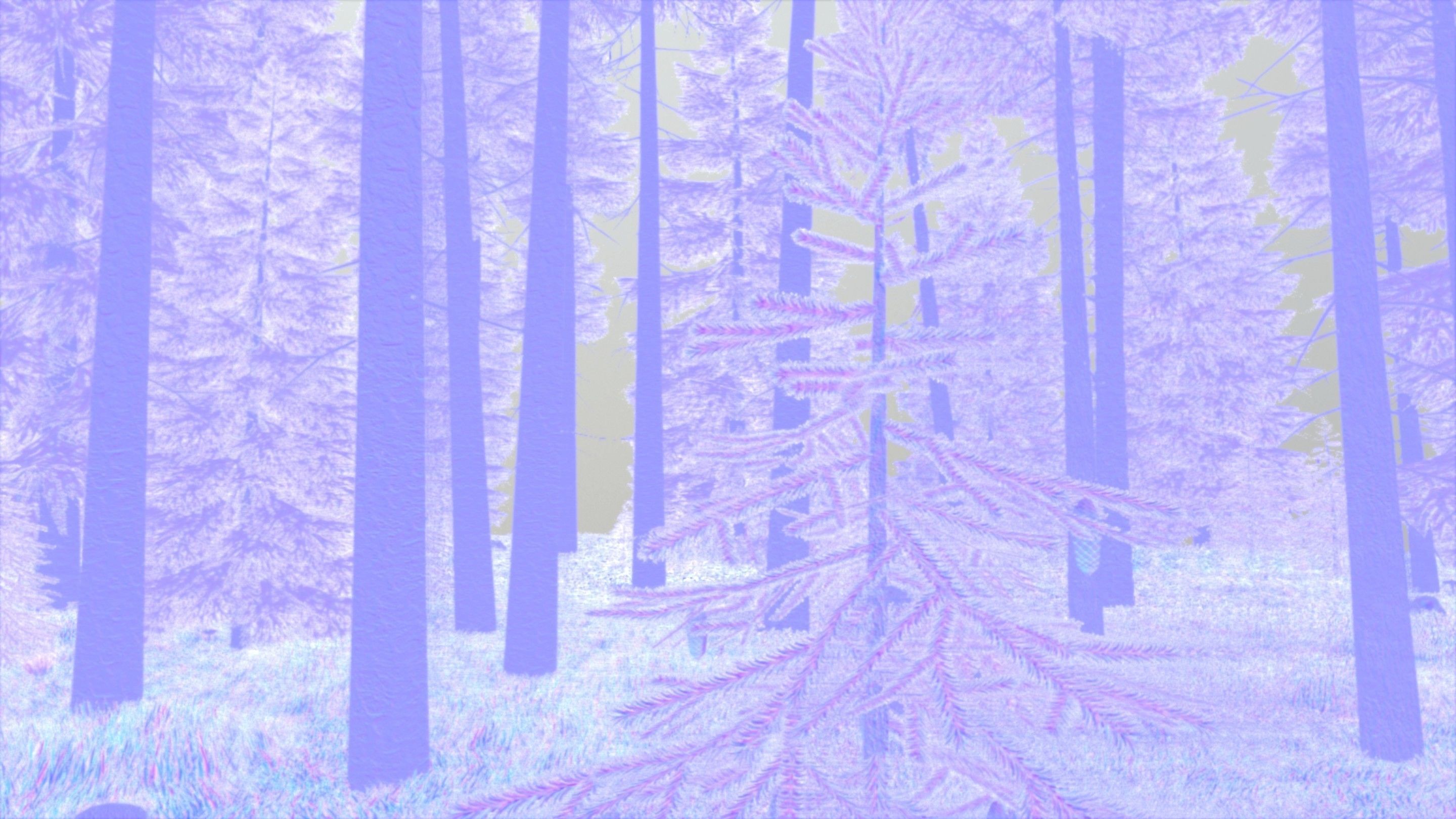 Spruce Forest Scene Low-poly 3D model_70