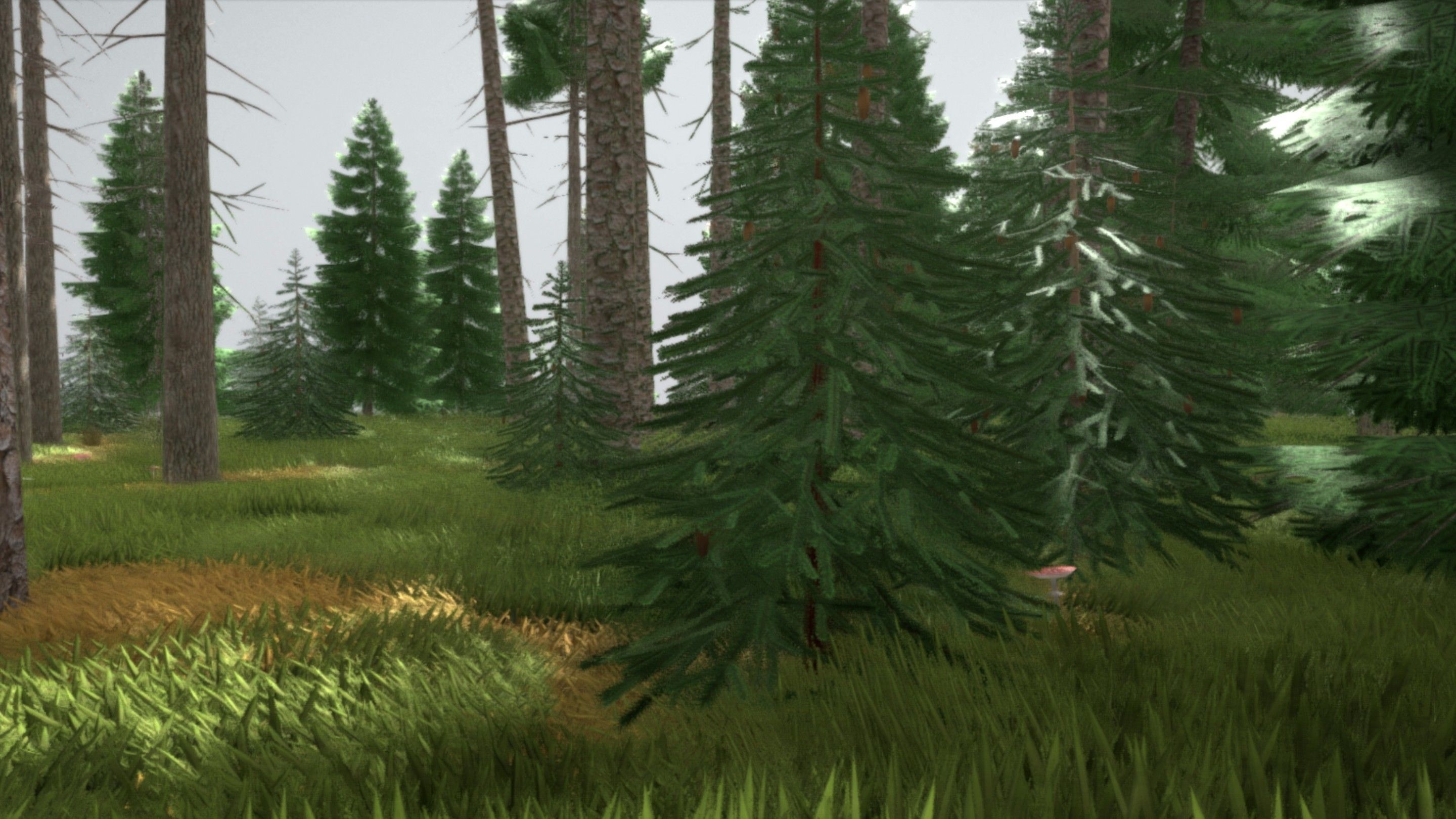 Spruce Forest Scene Low-poly 3D model_83