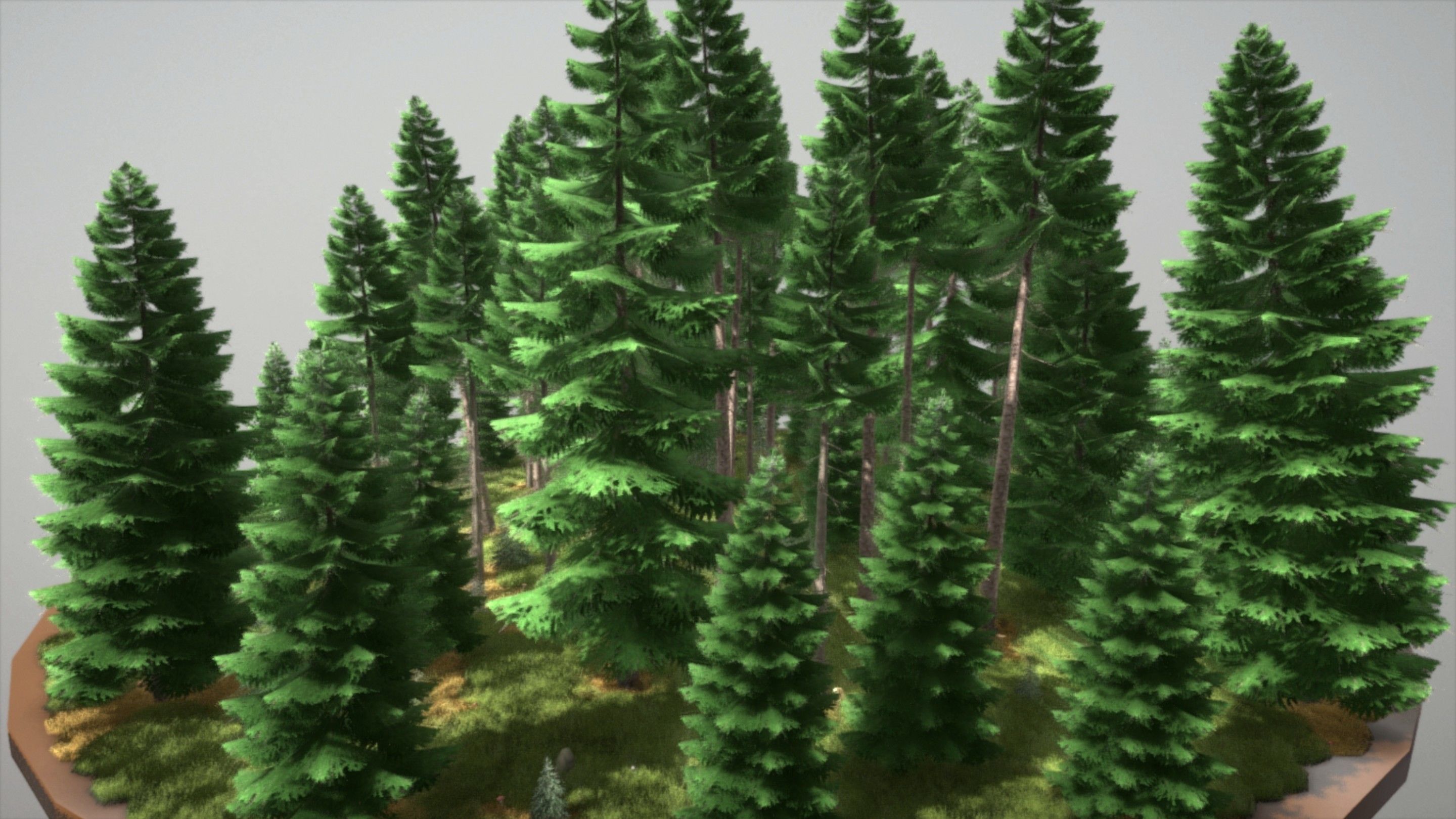 Spruce Forest Scene Low-poly 3D model_39