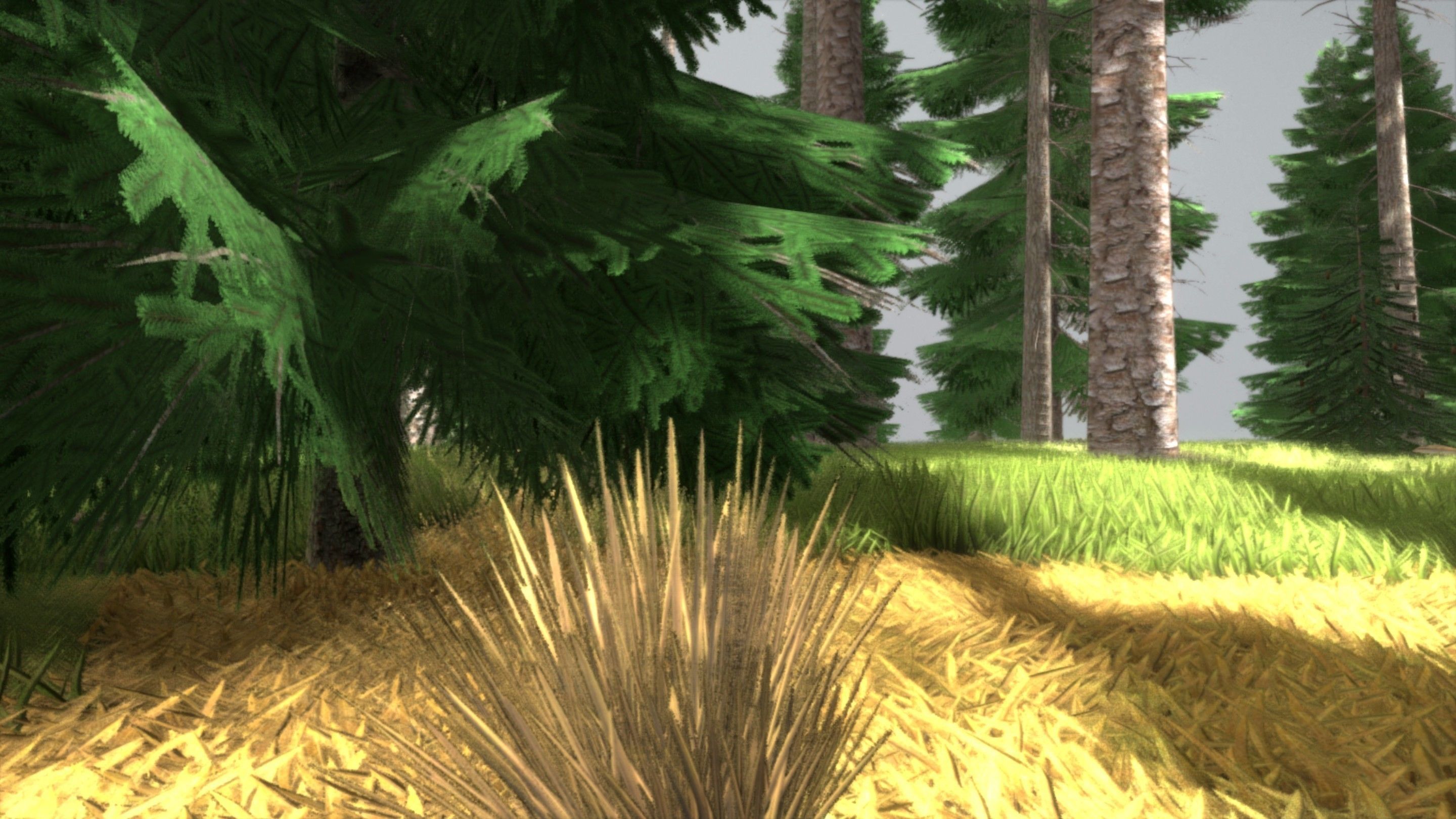 Spruce Forest Scene Low-poly 3D model_82