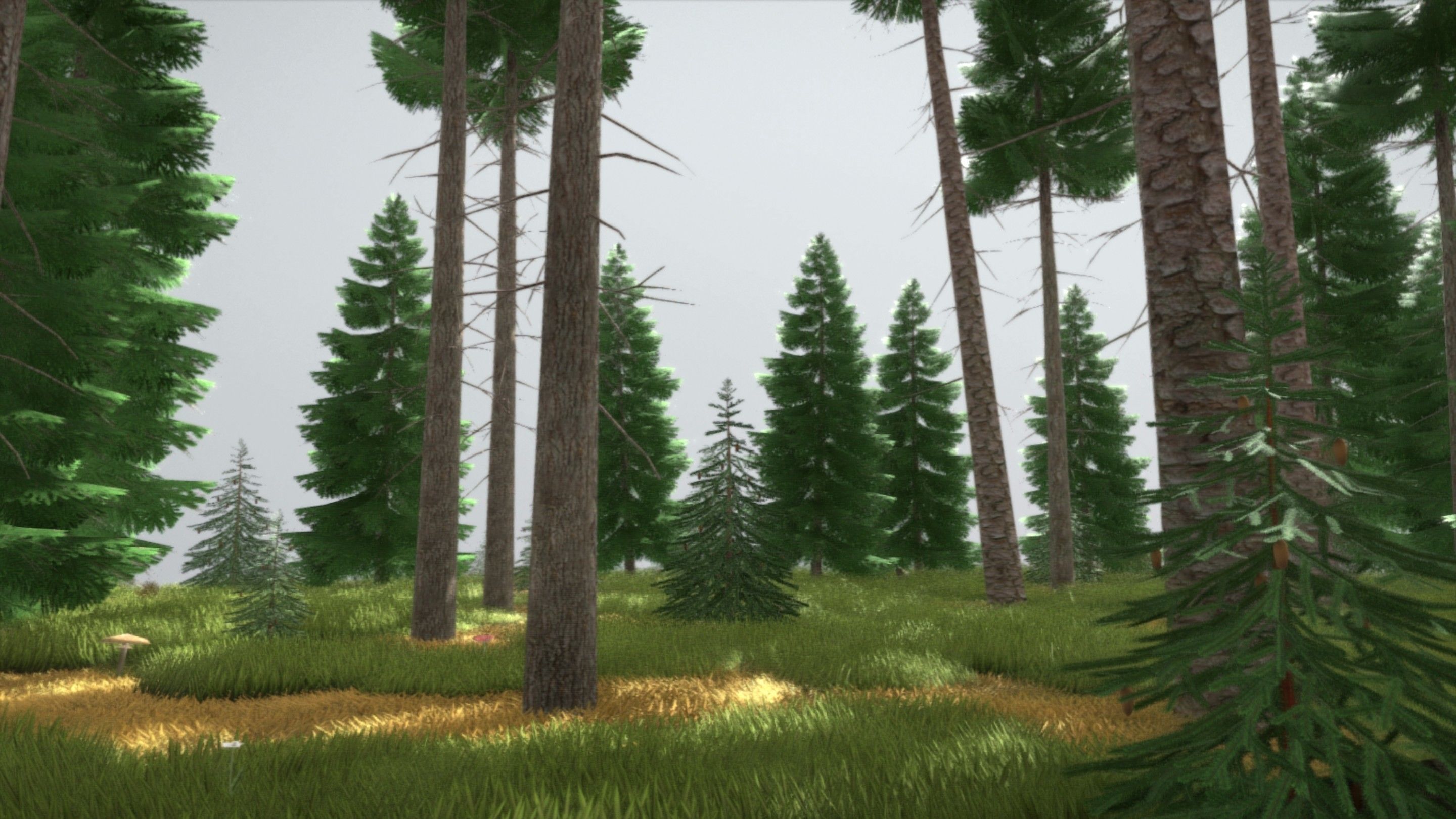 Spruce Forest Scene Low-poly 3D model_7