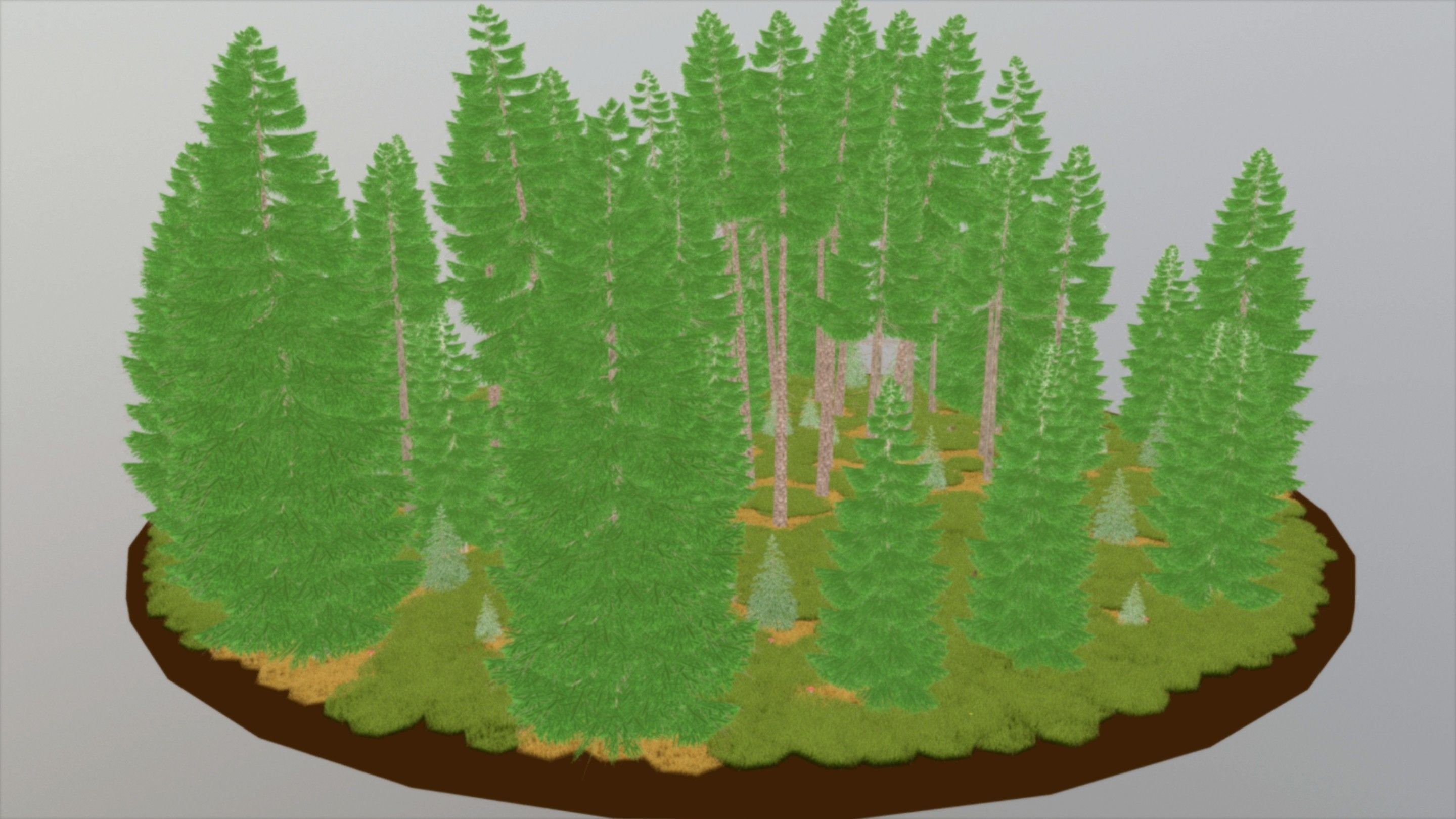 Spruce Forest Scene Low-poly 3D model_71