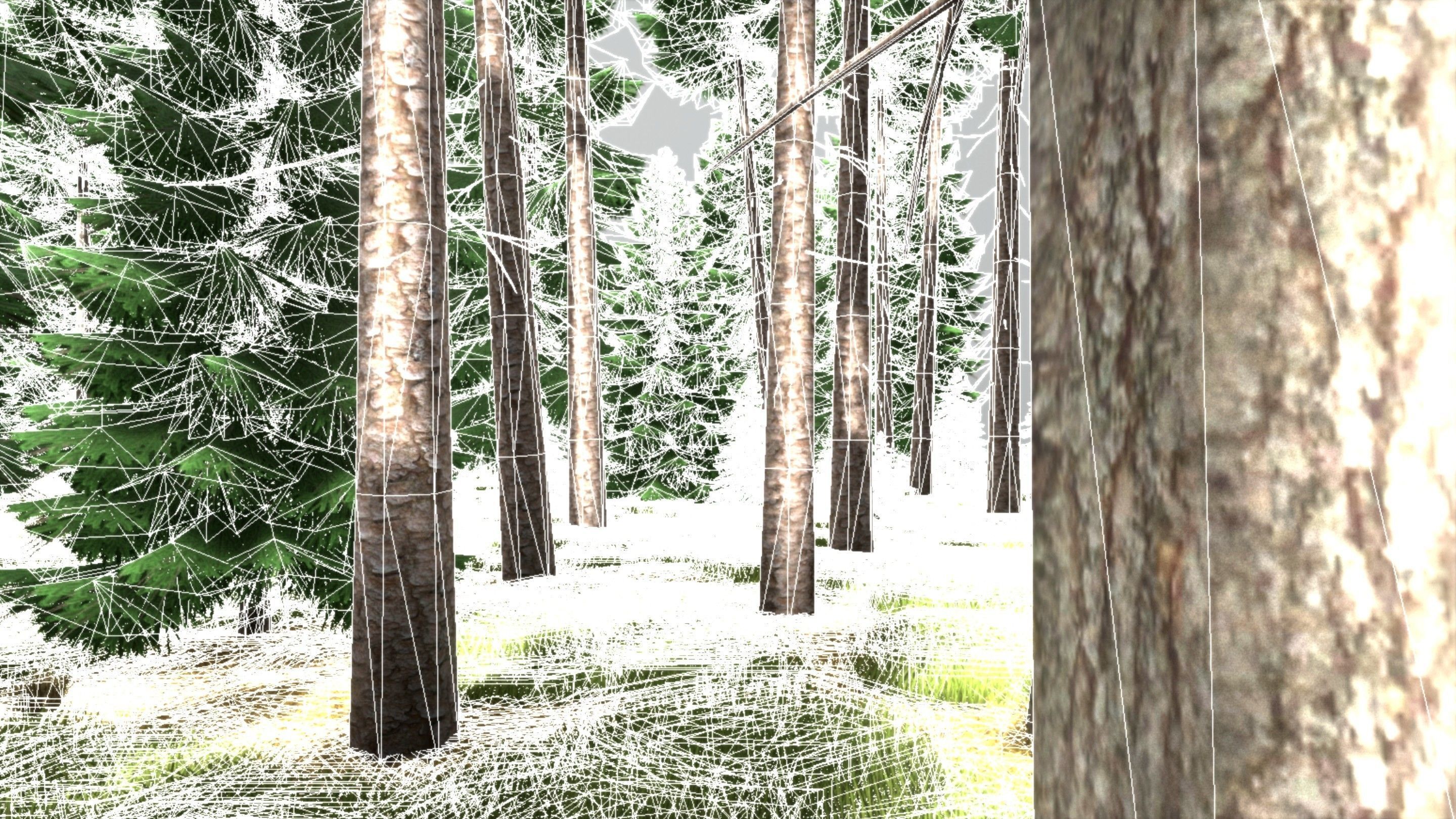 Spruce Forest Scene Low-poly 3D model_79
