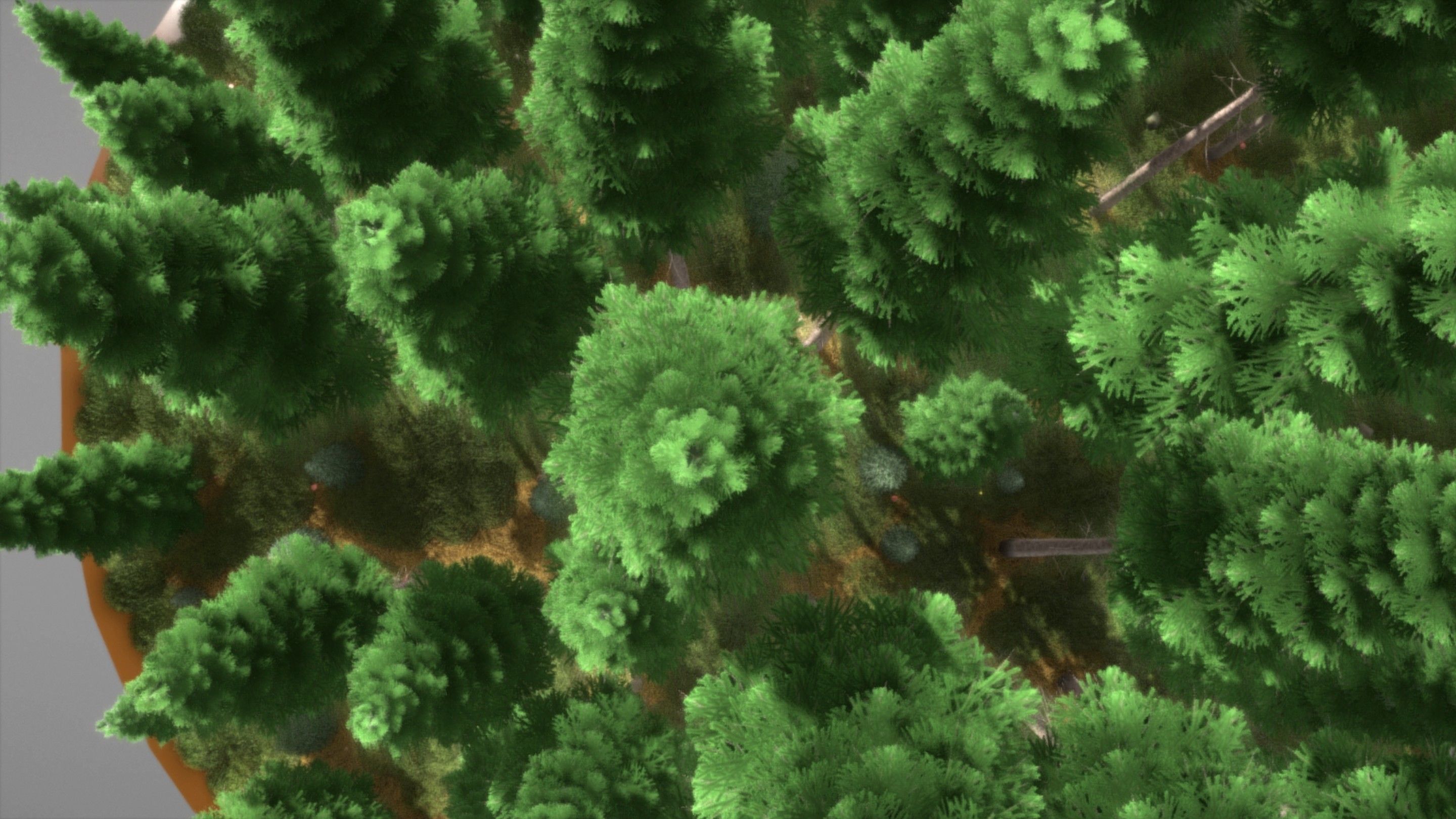 Spruce Forest Scene Low-poly 3D model_100