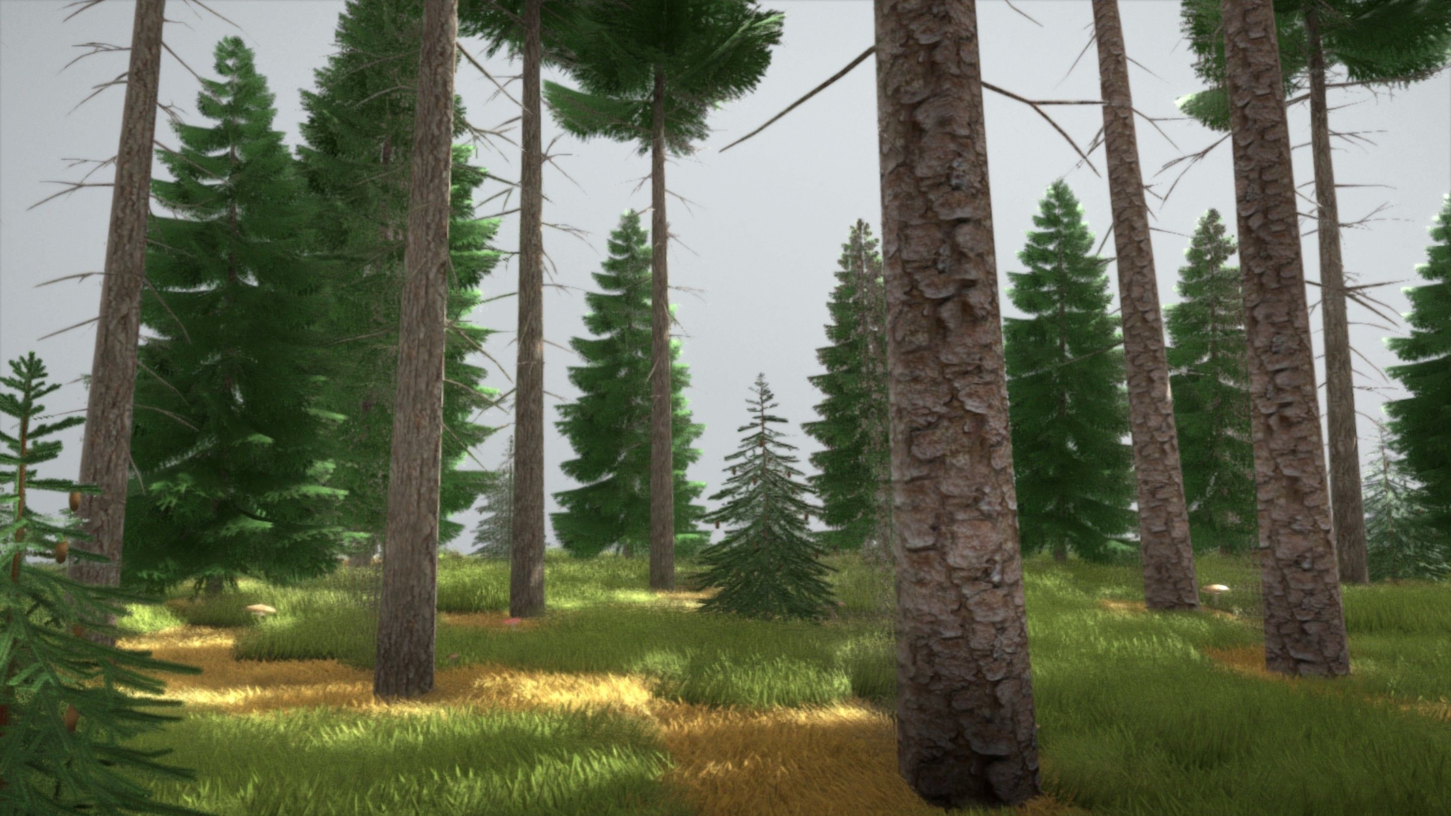 Spruce Forest Scene Low-poly 3D model_55