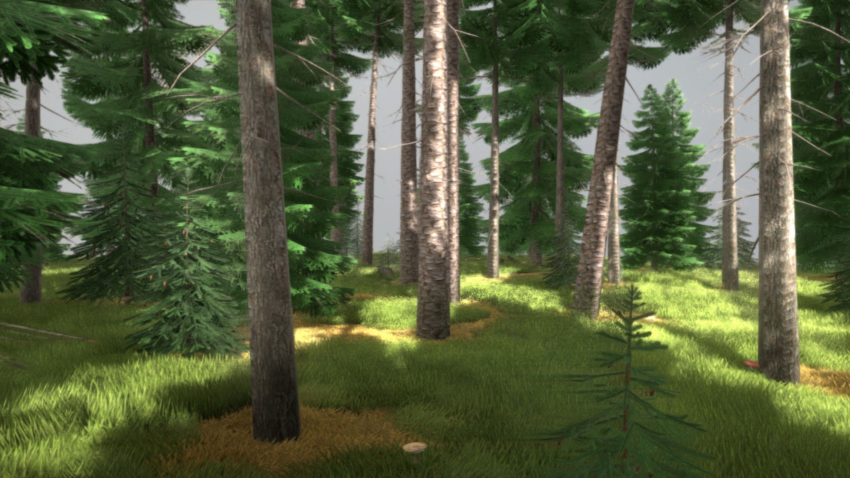 Spruce Forest Scene Low-poly 3D model_54