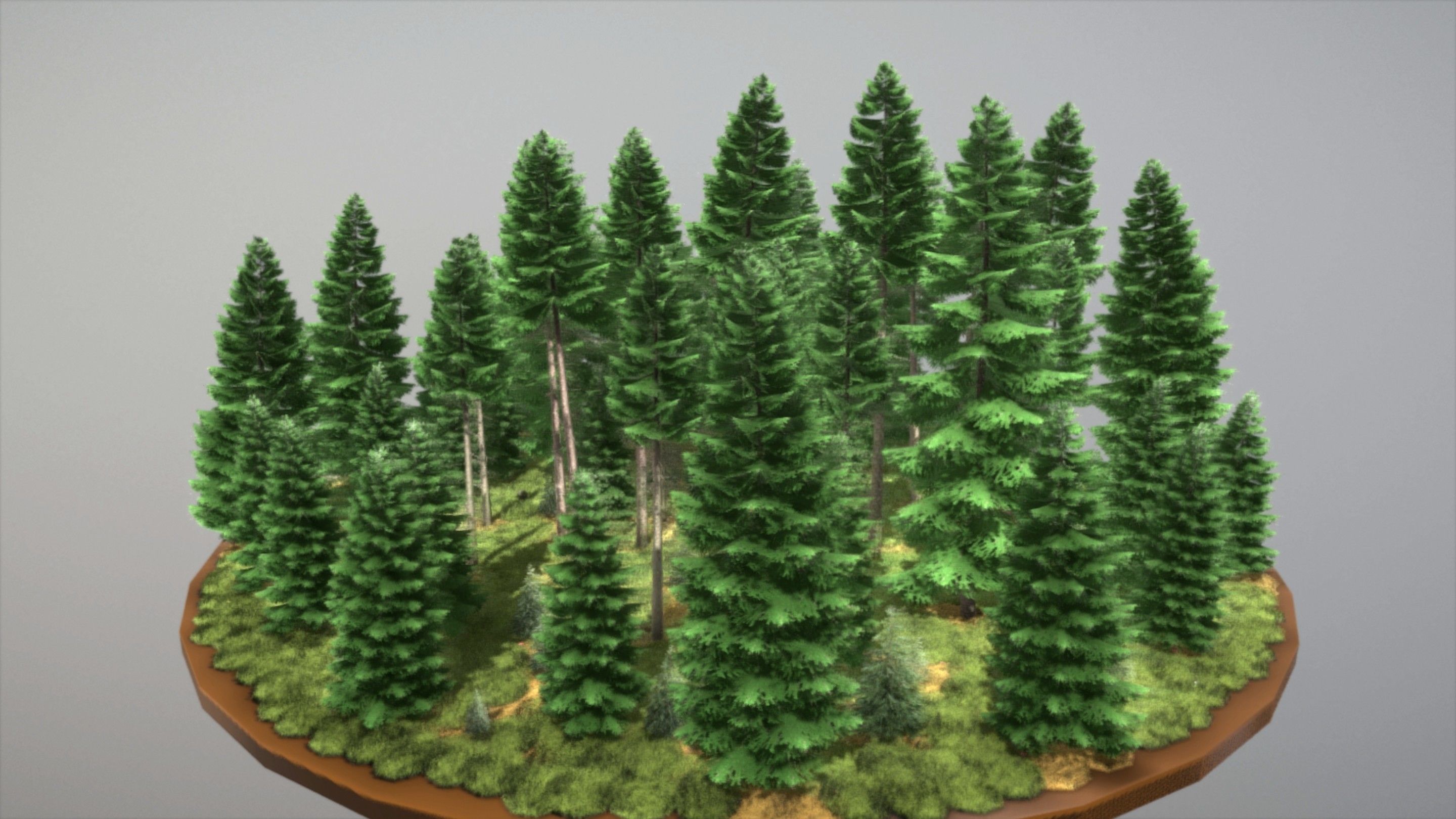 Spruce Forest Scene Low-poly 3D model_34